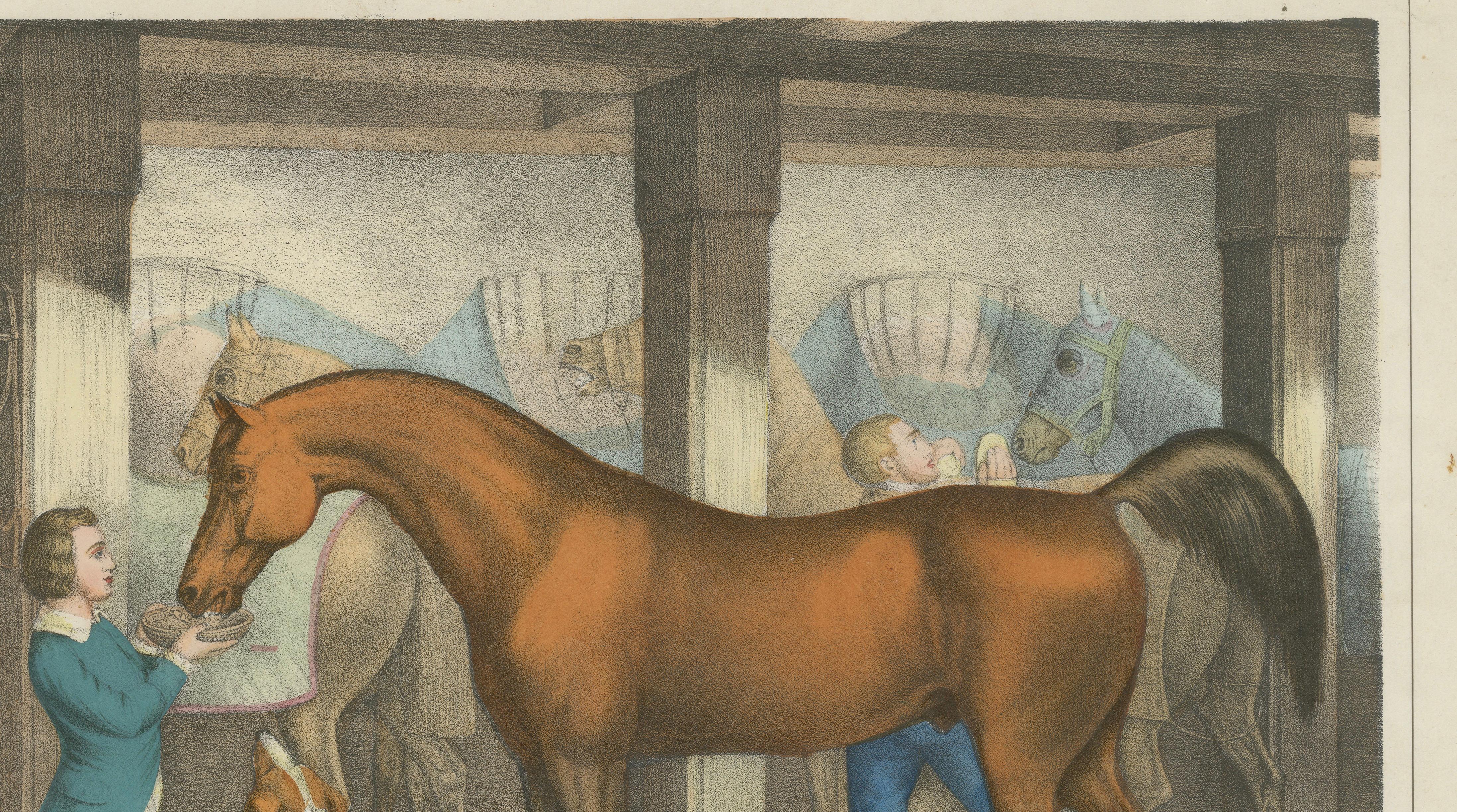 Antique Horse Stable Lithograph - The Young Master’s Favorites, c.1827