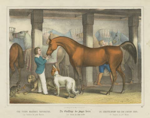 Antique Horse Stable Lithograph - The Young Master’s Favorites, c.1827
