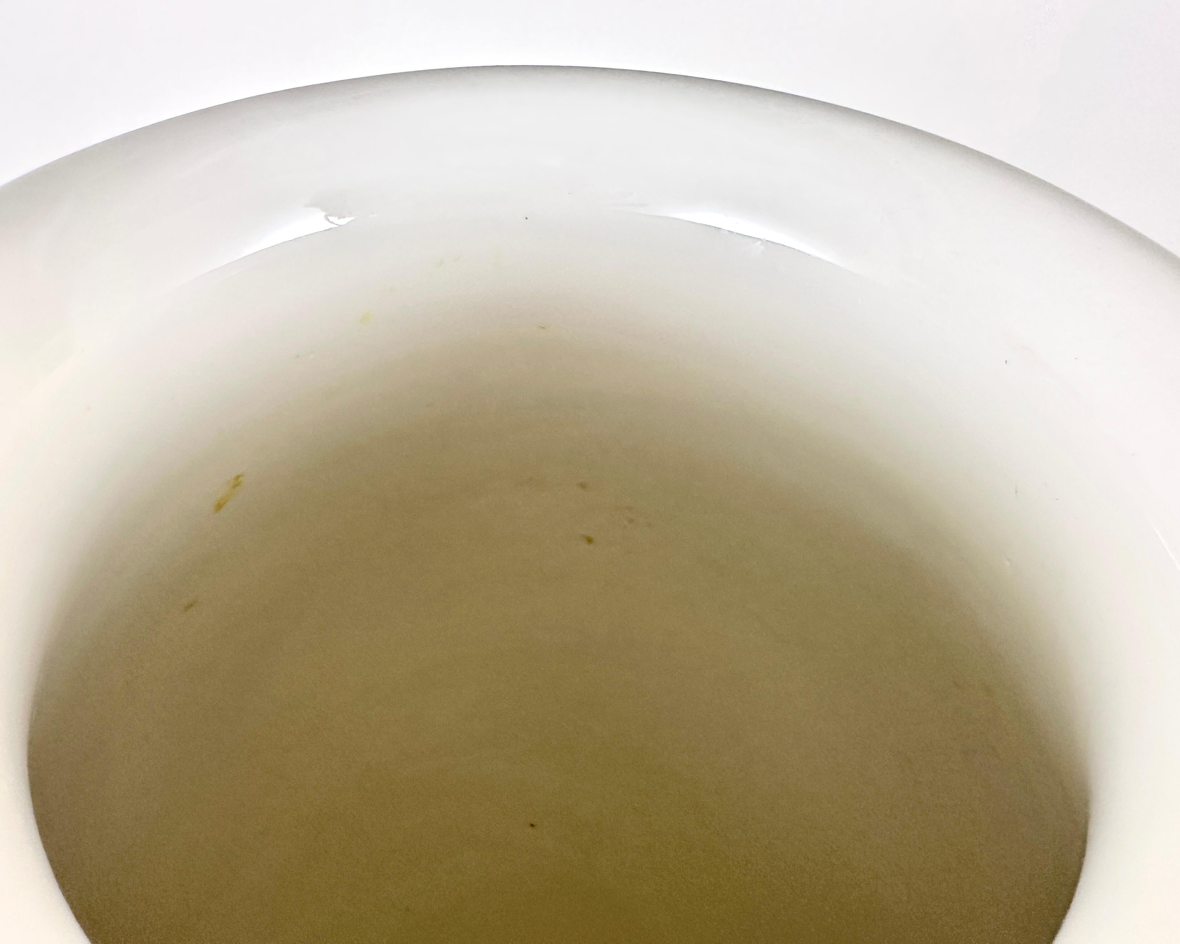 Antico vaso Hutschenreuther dipinto a mano in Germania nel 1910 Condit... in vendita 1