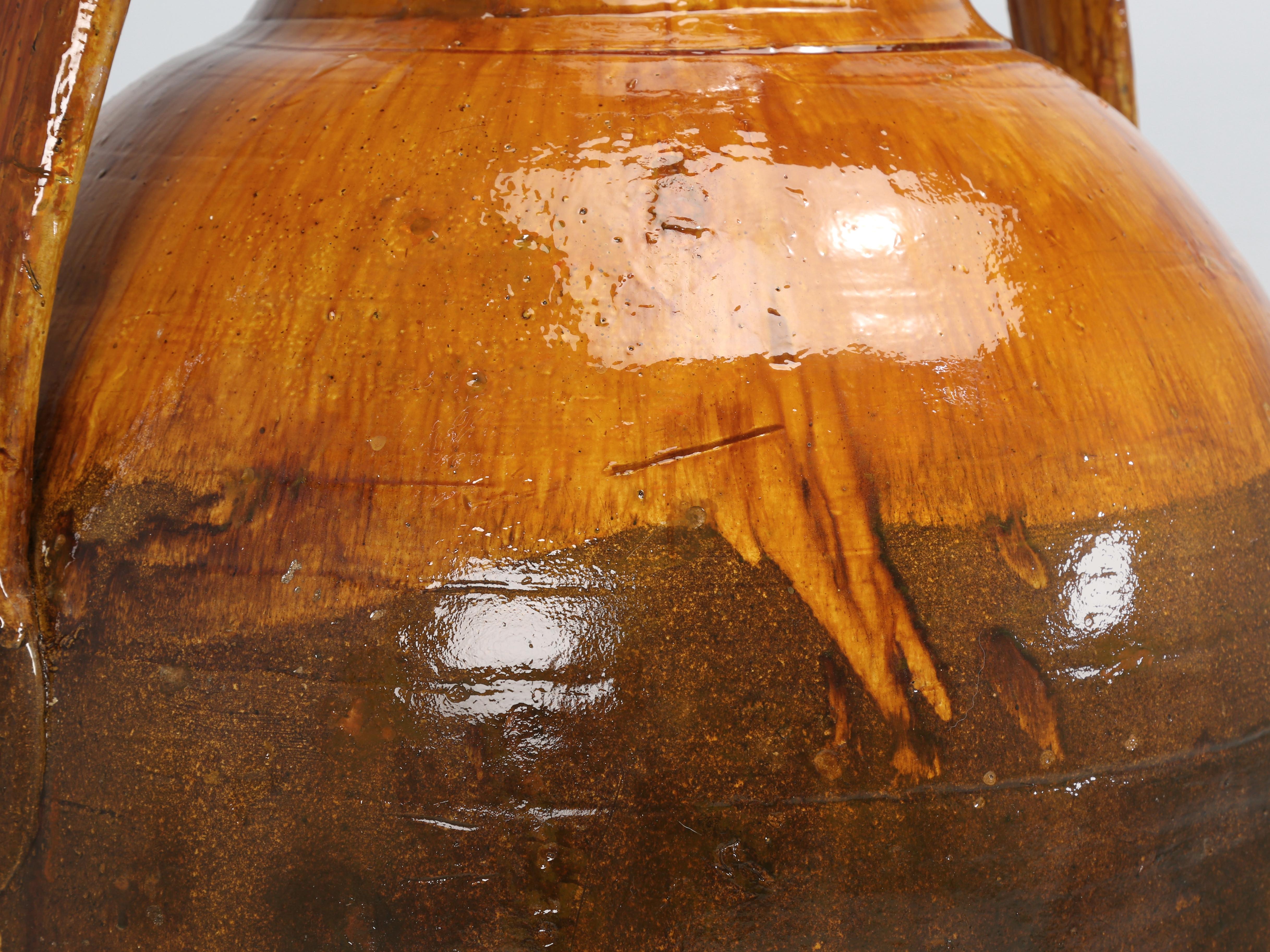 Antike riesige italienische Olivenöl Jar oder Amphora Große Farbe Italienisch Ende 1800's  (Spätes 19. Jahrhundert) im Angebot