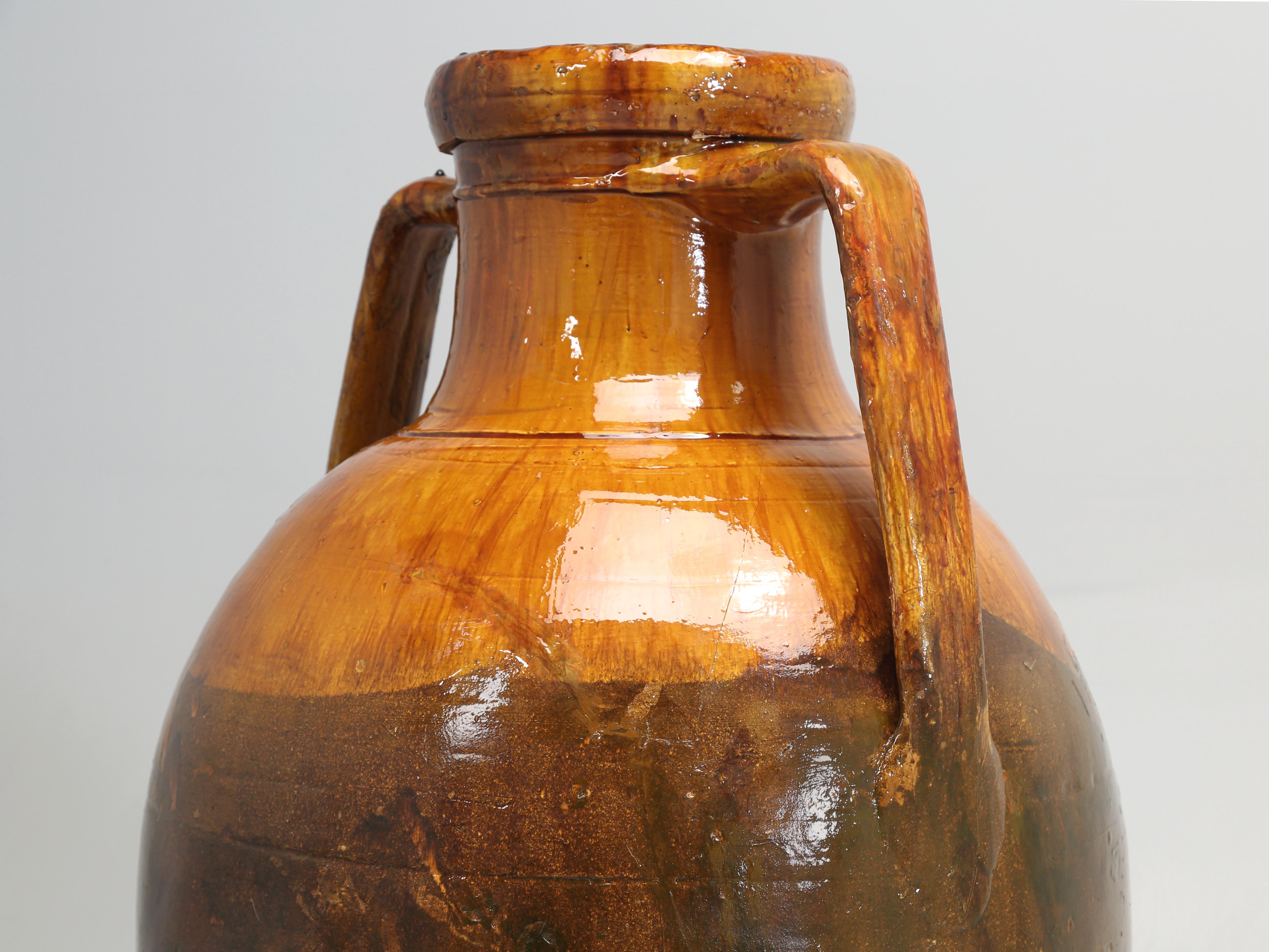 Antike riesige italienische Olivenöl Jar oder Amphora Große Farbe Italienisch Ende 1800's  (Ton) im Angebot