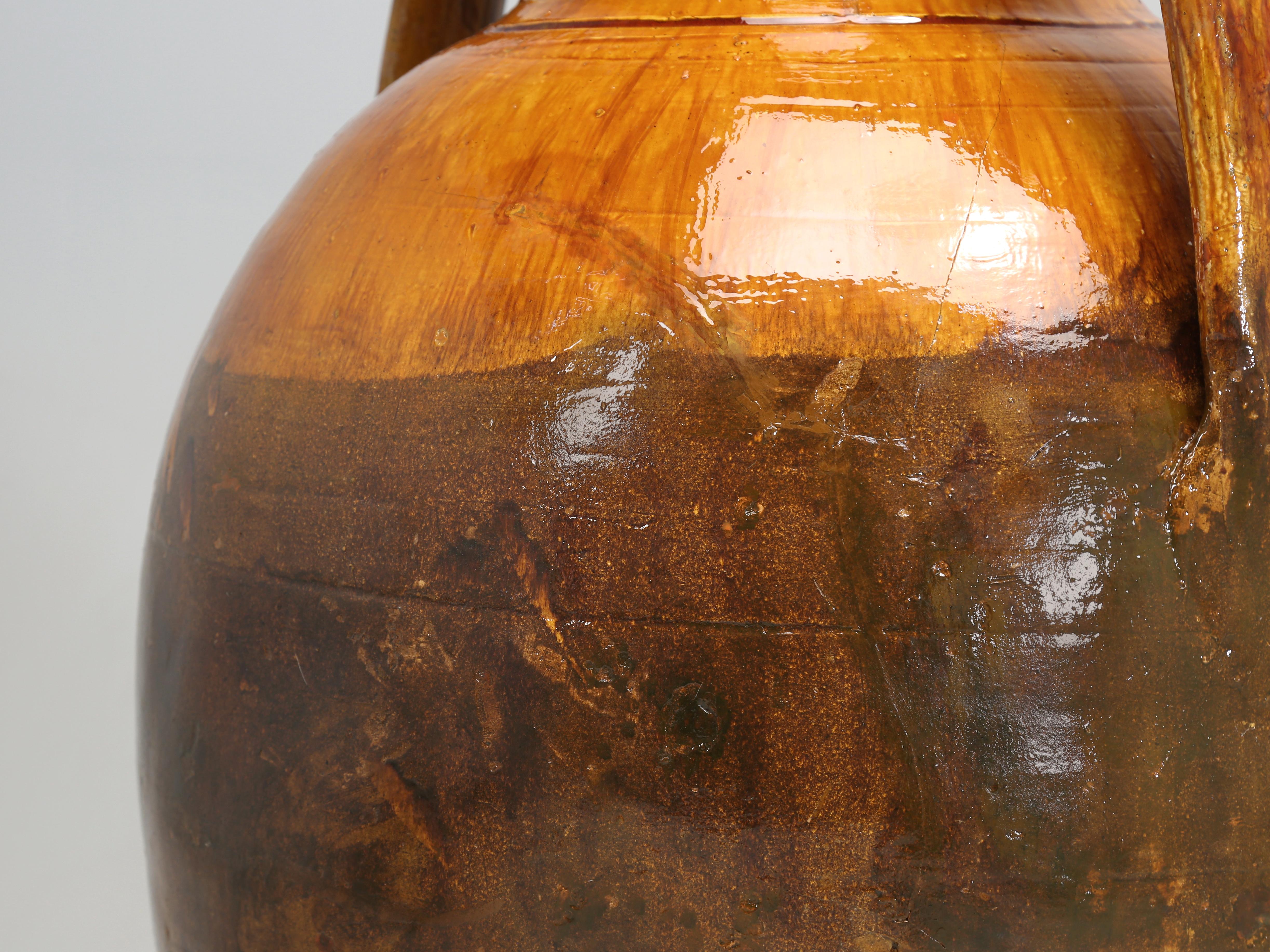 Antike riesige italienische Olivenöl Jar oder Amphora Große Farbe Italienisch Ende 1800's  im Angebot 1