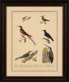 Lithographie ancienne de Karl Joseph Brodtmann, 1816