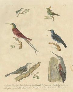 Lithographie ancienne de Karl Joseph Brodtmann, 1816