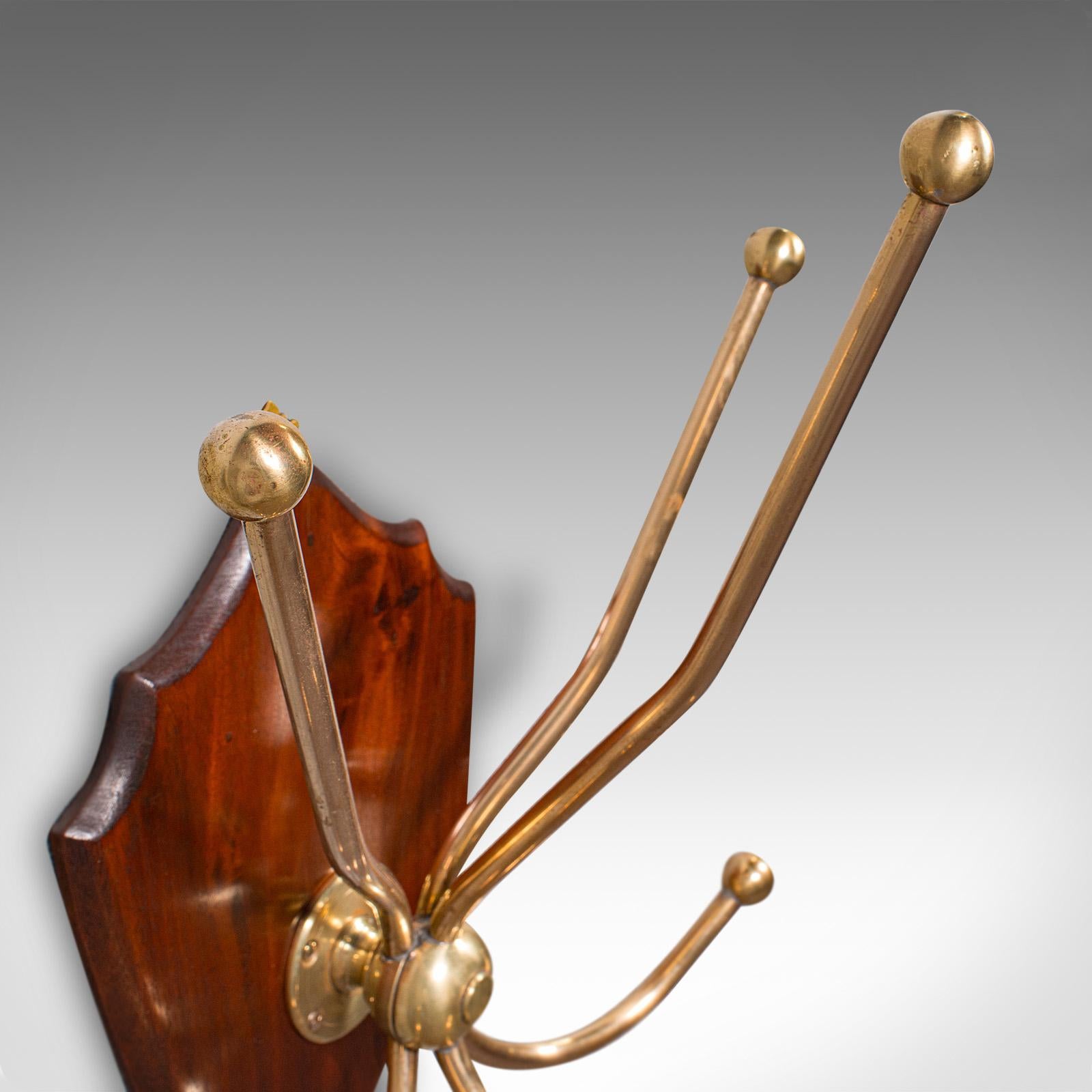 Scozzese Antico appendiabiti da caccia, scozzese, scudo a sei rami, Edwardian in vendita