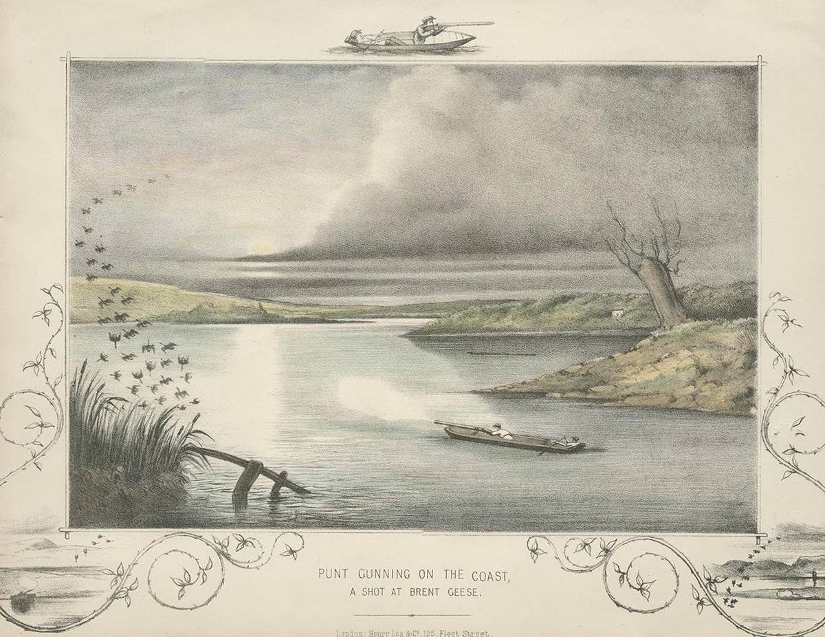 Antique Hunting Print of a shot at Brent Geese, circa 1863