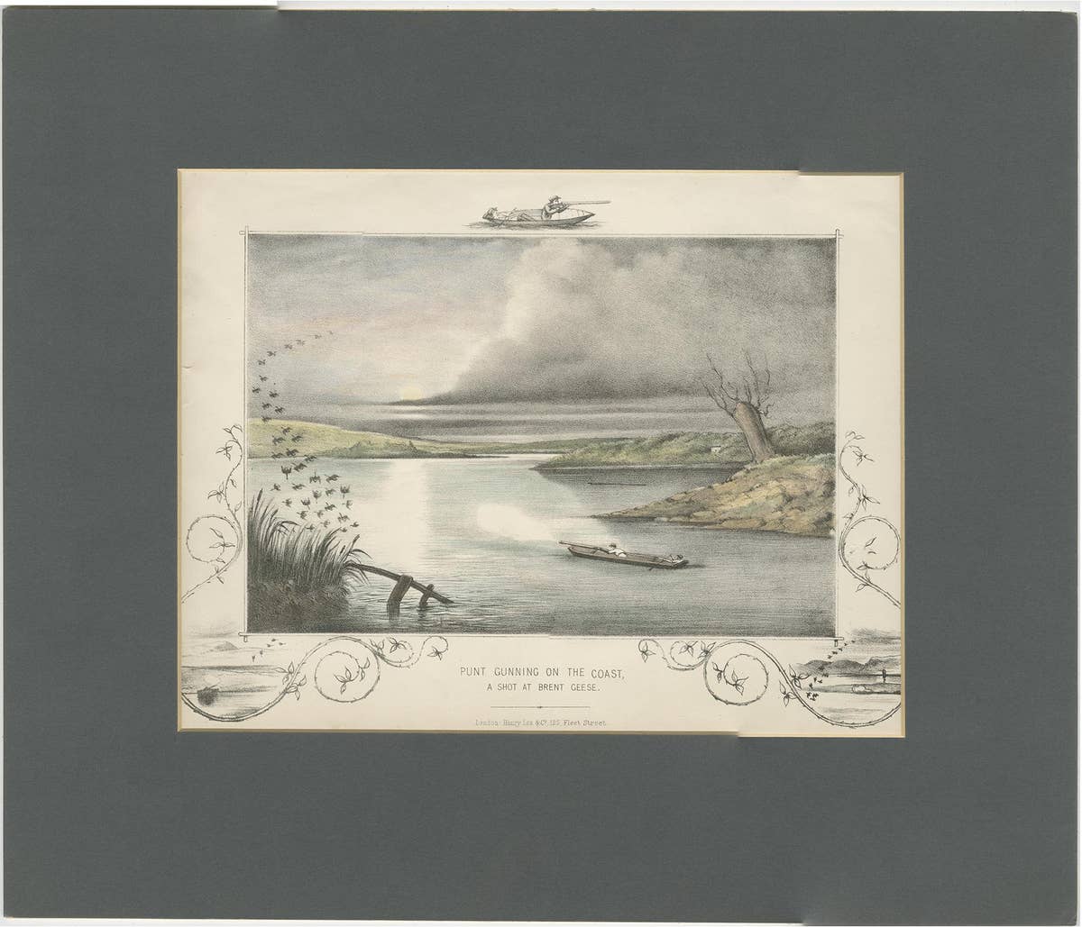 Antique Hunting Print of a shot at Brent Geese, circa 1863