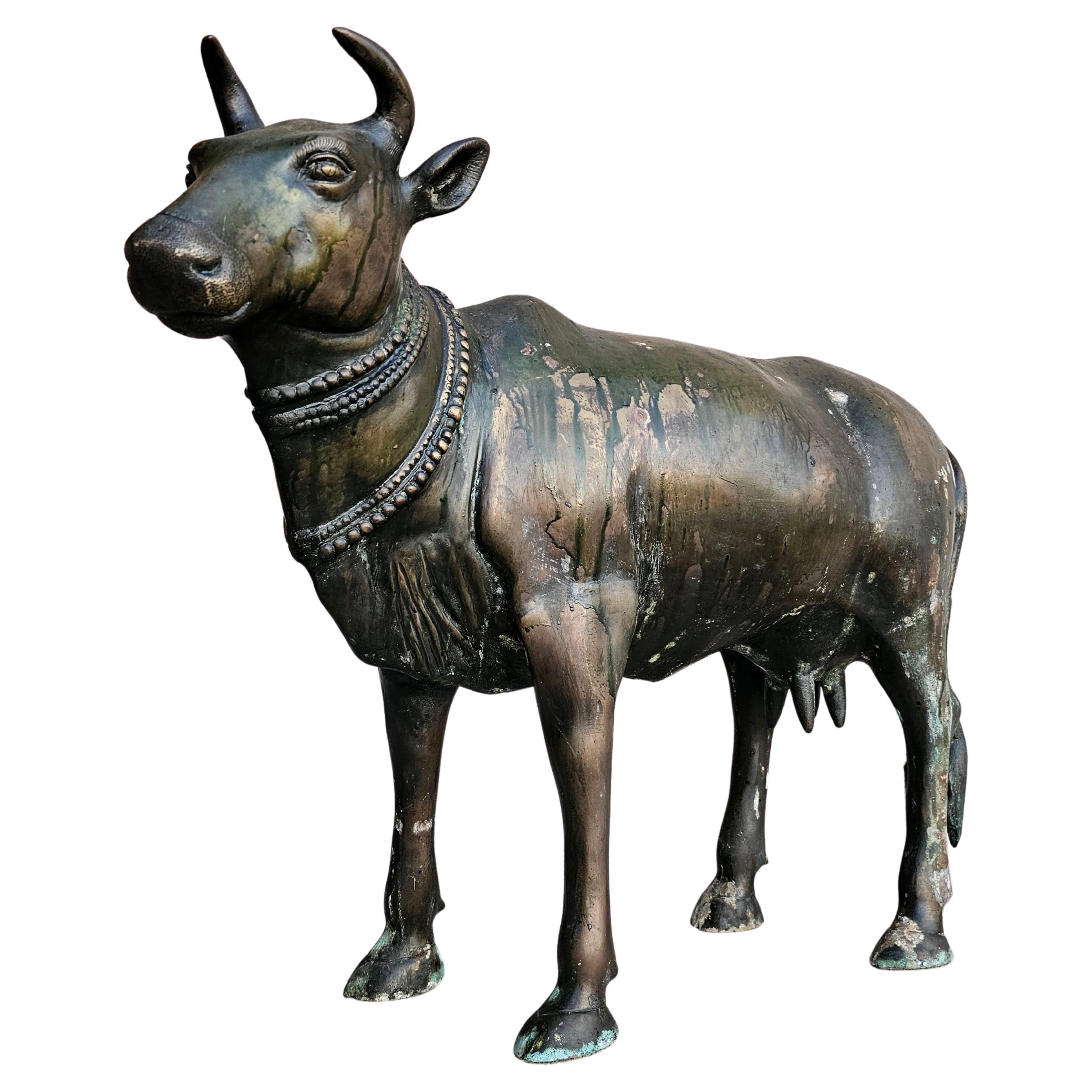 Una statua / scultura vahana da tempio indù di grandi dimensioni e di grande effetto. 

India, probabilmente regione del Deccan, XVI-XIX secolo, opera figurata di eccezionale fattura che raffigura il toro Nandi (manzo divino / mitica mucca cornuta),