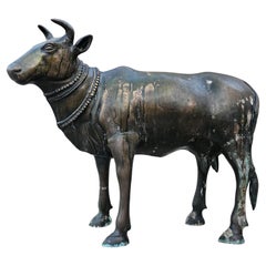 Gran estatua antigua del templo hindú indio Nandi Toro de bronce aleación de cobre