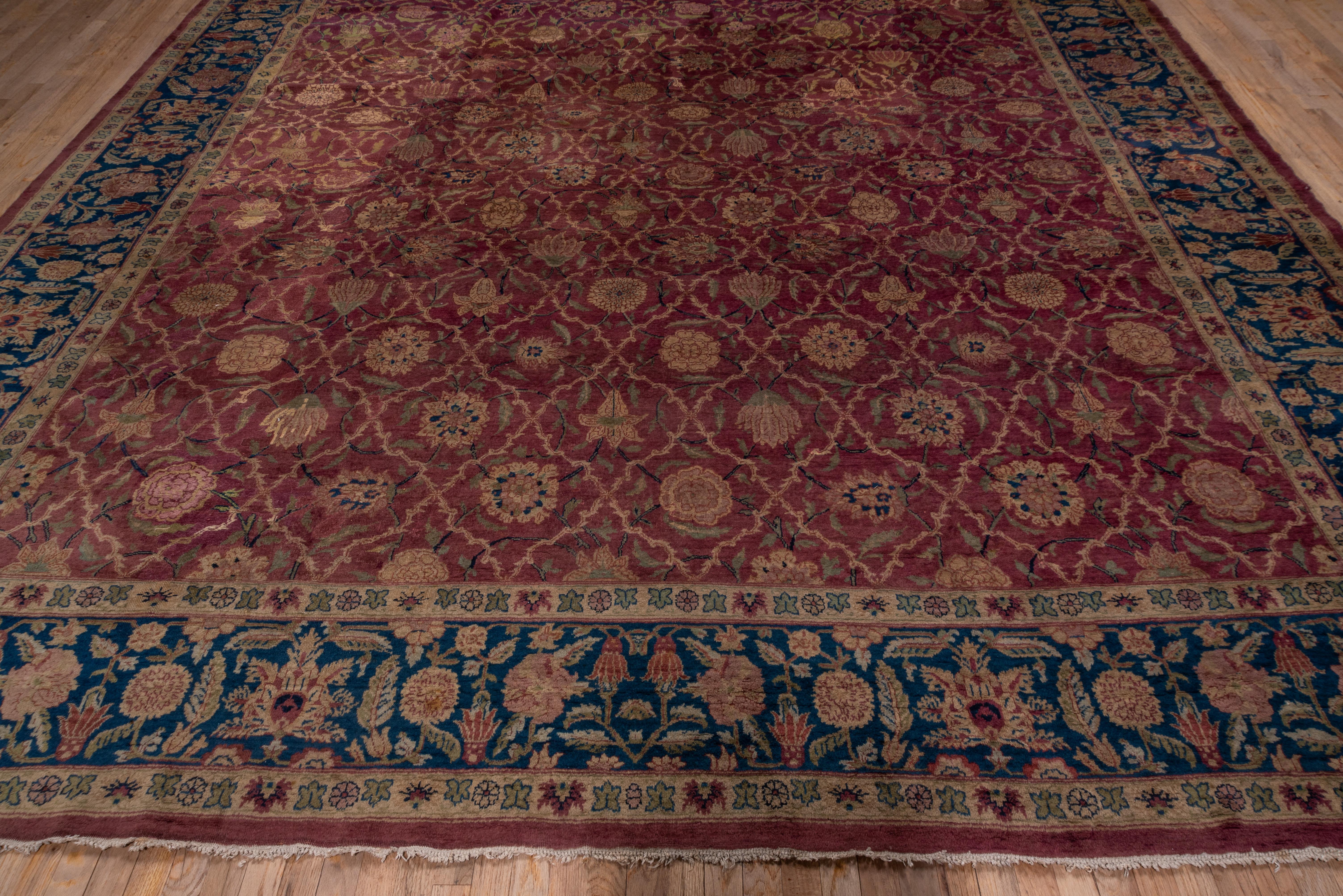 royal agra rugs