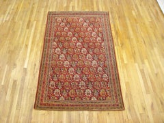 Antique Indian Agra Oriental Rug, Small Size, W/ Paisley Design