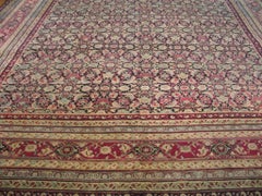 19th Century N. Indian Agra Carpet ( 11'10" x 15' - 360 x 458 )