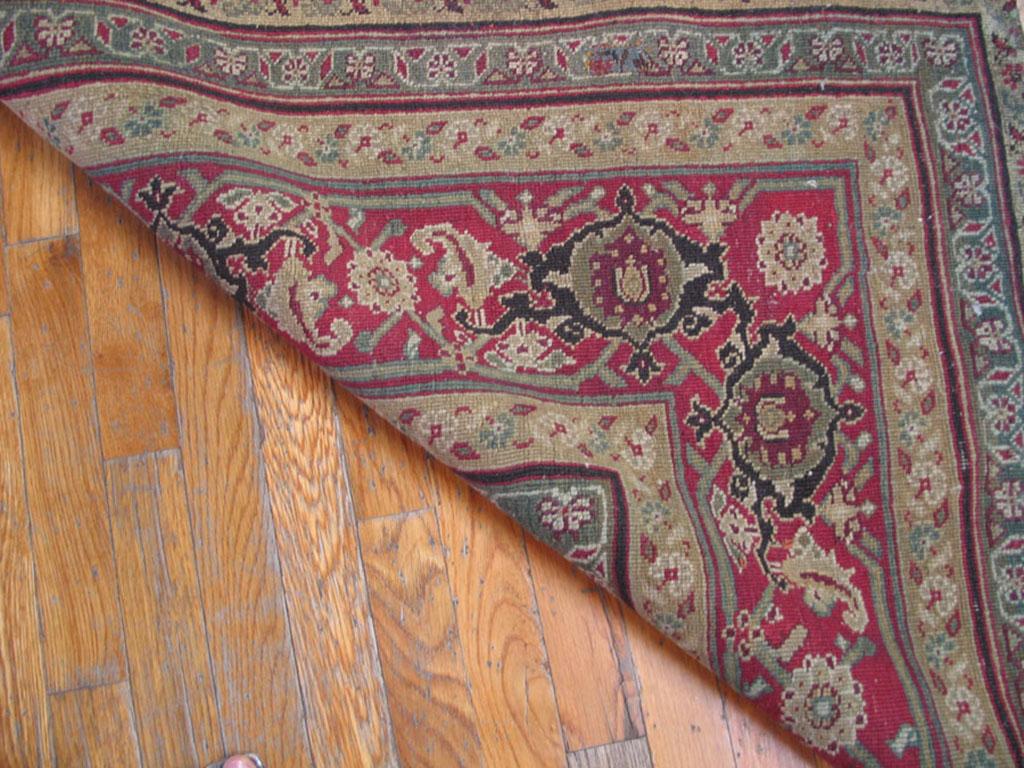 Late 19th Century 19th Century N. Indian Agra Carpet ( 11'10