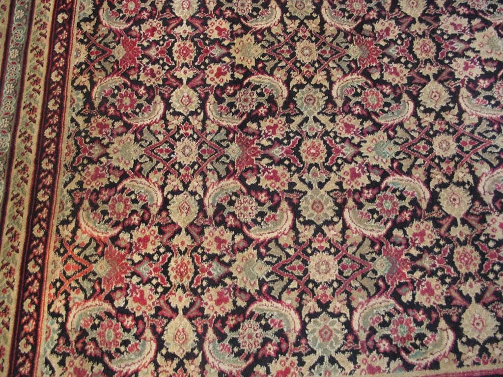19th Century N. Indian Agra Carpet ( 11'10