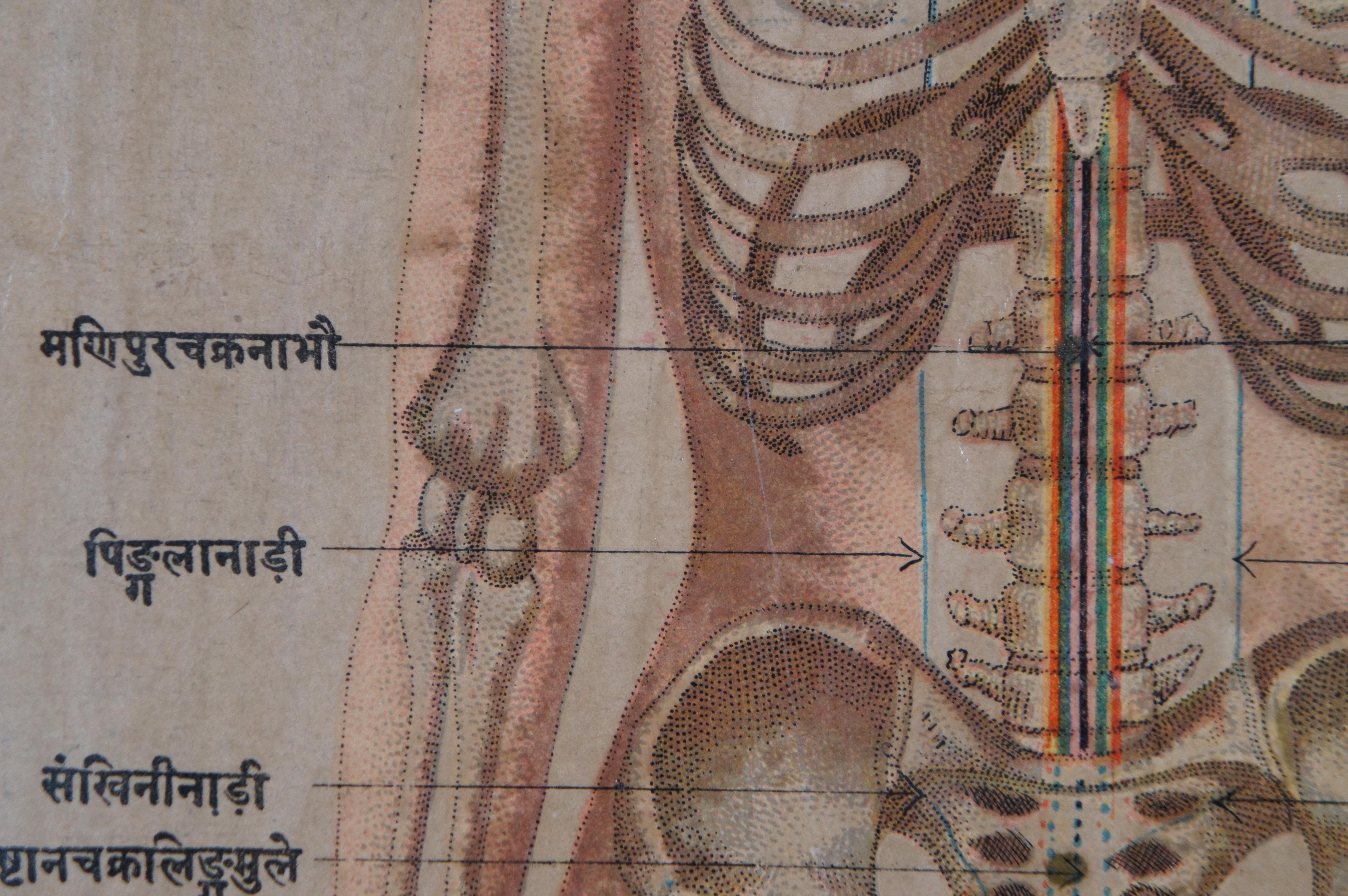 Antique Indian Kundalini Hindu Sanskrit Chakras Anatomical Triptych Prints 41