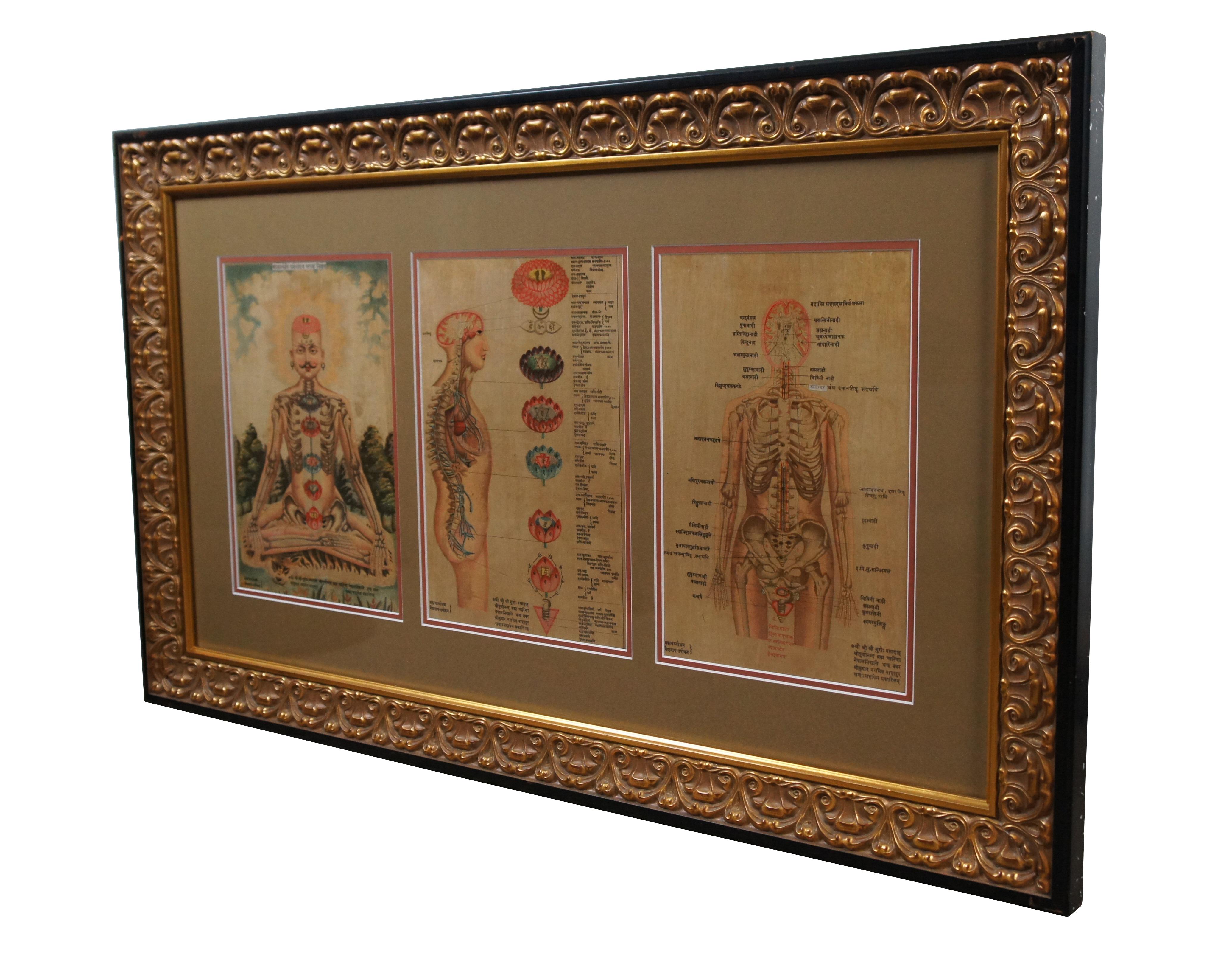 Set of three antique Hindu / Indian anatomical prints, emphasizing the seven chakras with Sanskrit text. Display together in a modern carved gilded yard-long frame with black edge.

“Chakras are various focal points used in a variety of ancient