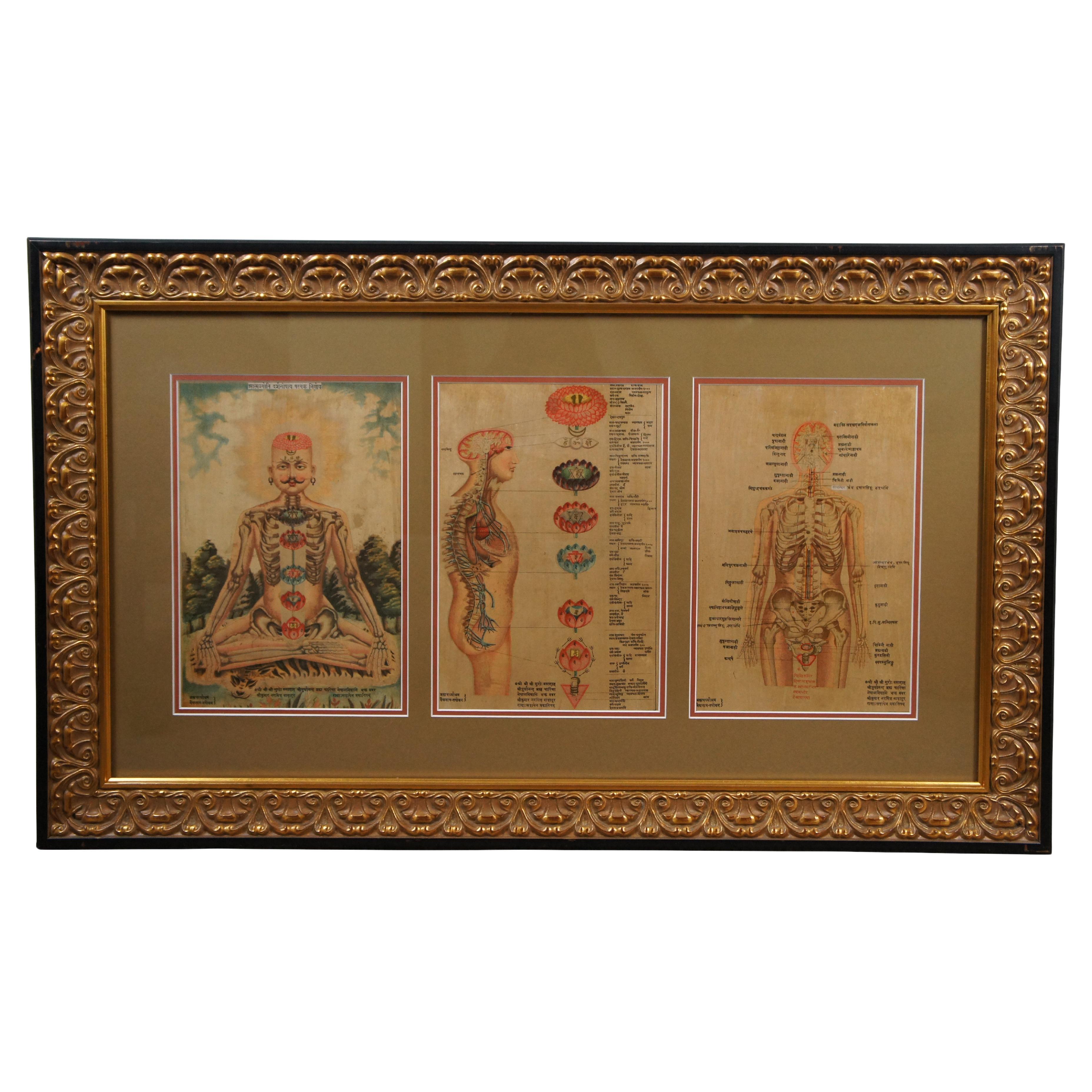 Antique Indian Kundalini Hindu Sanskrit Chakras Anatomical Triptych Prints 41" For Sale