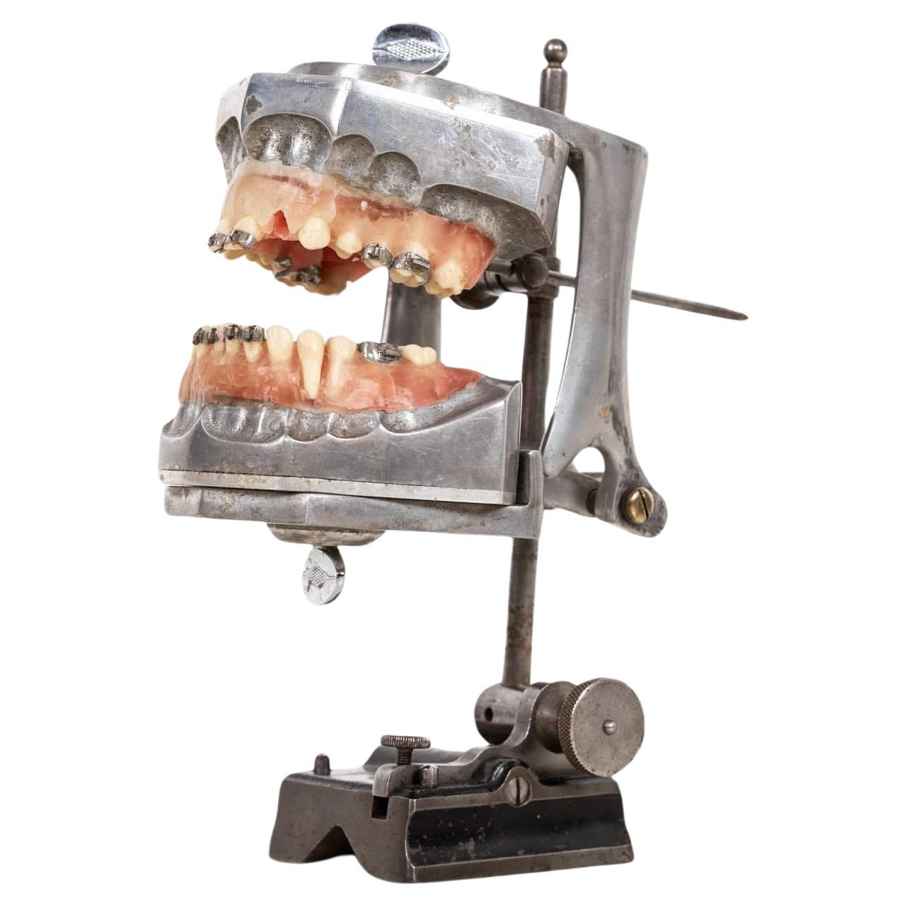 Antique Industrial Macabre Orthodonist's 'Phantom' Dental Teaching Aid. c.1920