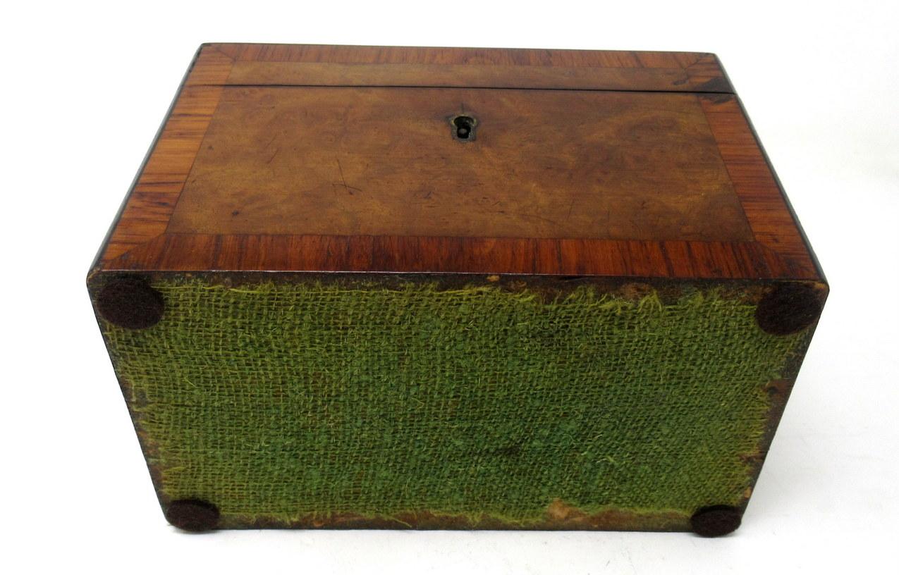 Antique Inlaid Georgian Burl Walnut English Double Tea Caddy Box 19th Century 2