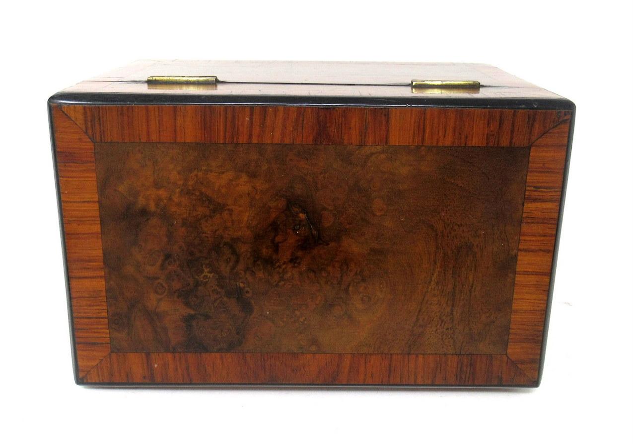 Antique Inlaid Georgian Burl Walnut English Double Tea Caddy Box 19th Century 3