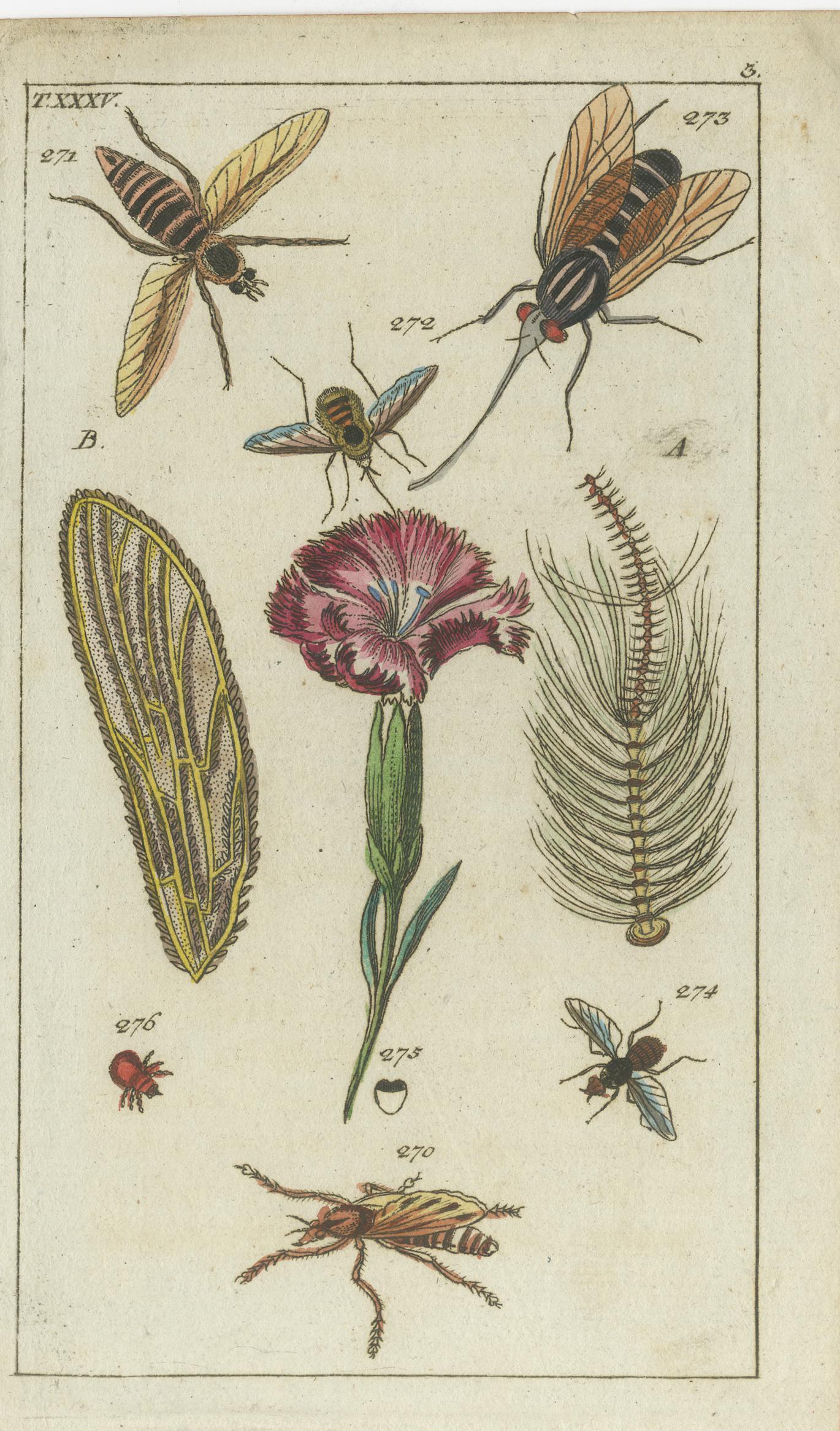 Antike Insektendrucke: Kleine lebhafte Gravuren von Käfern, Blättern und Blumen, 1832 im Zustand „Gut“ im Angebot in Langweer, NL