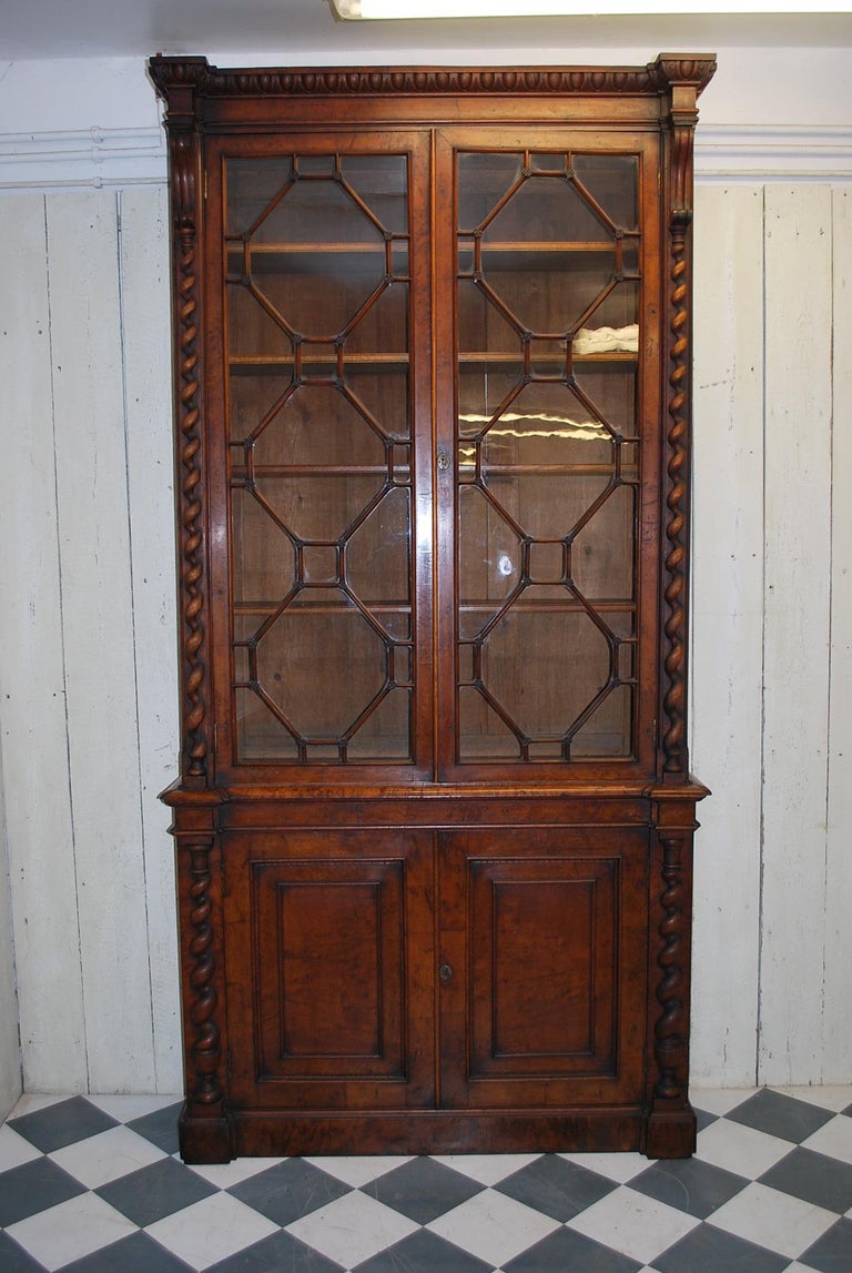 Antique Irish 19th century Pollard Oak Library Bookcase / shelves / cabinet For Sale at 1stdibs