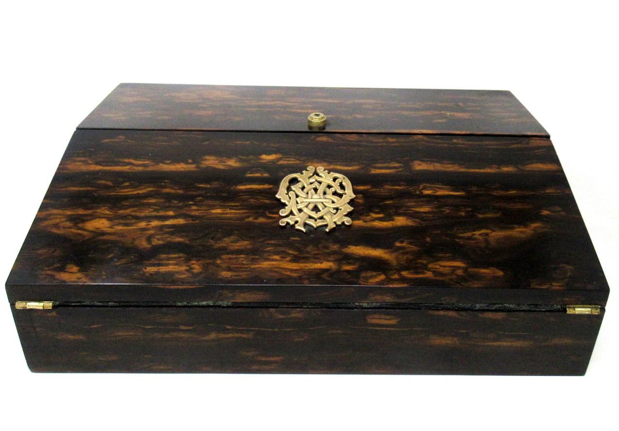 19th Century Antique Irish Coromandel Satinwood Writing Slope Box by Austins Dublin Ireland For Sale