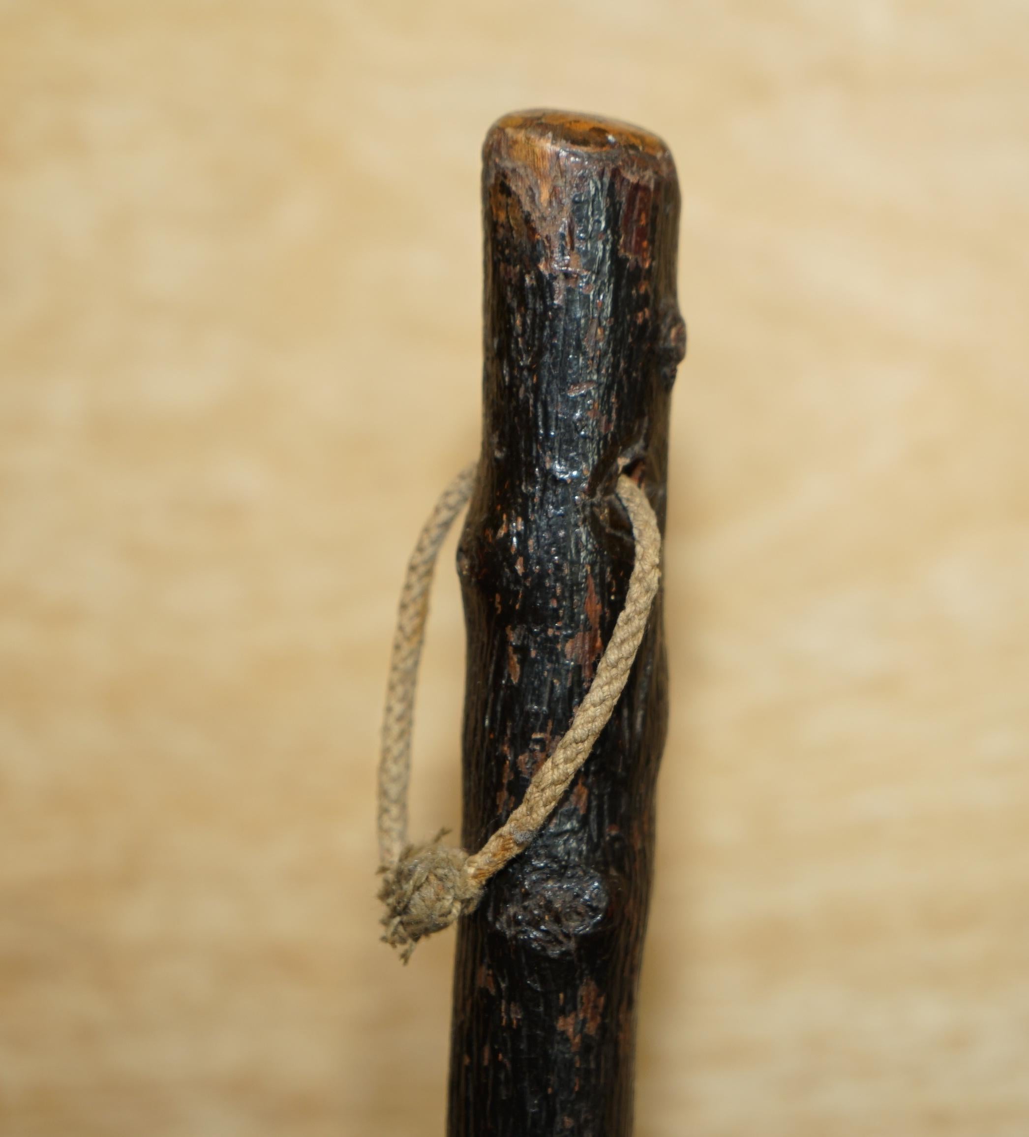 Antiguo Palo Irlandés Knobkerrie Muy Coleccionable y Primatico Uno de Dos Victoriano en venta