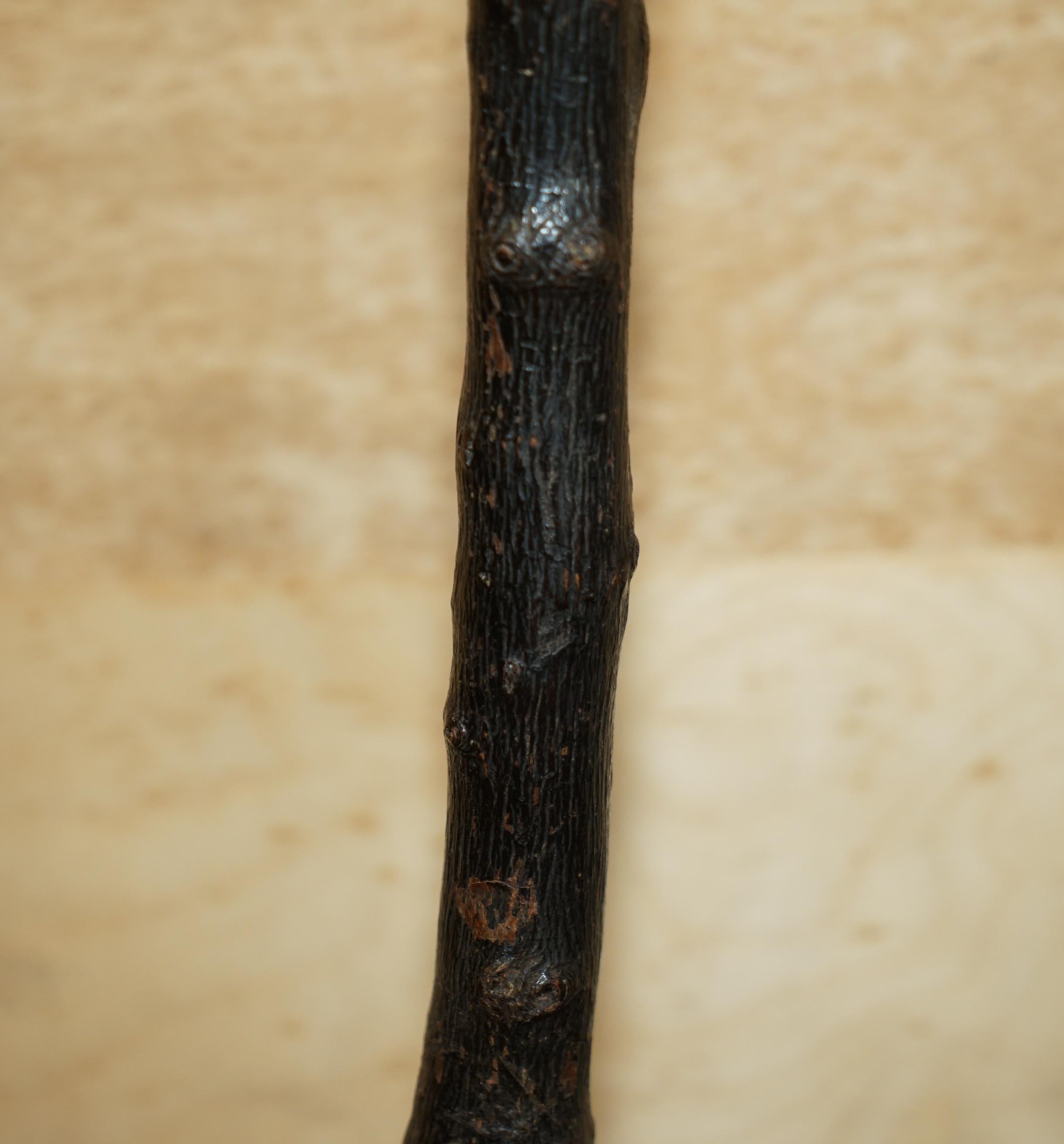 Antiker irischer Knobkerrie-Ständer, sehr Sammlerstück und in erster Linie ein von zwei (Irisch) im Angebot