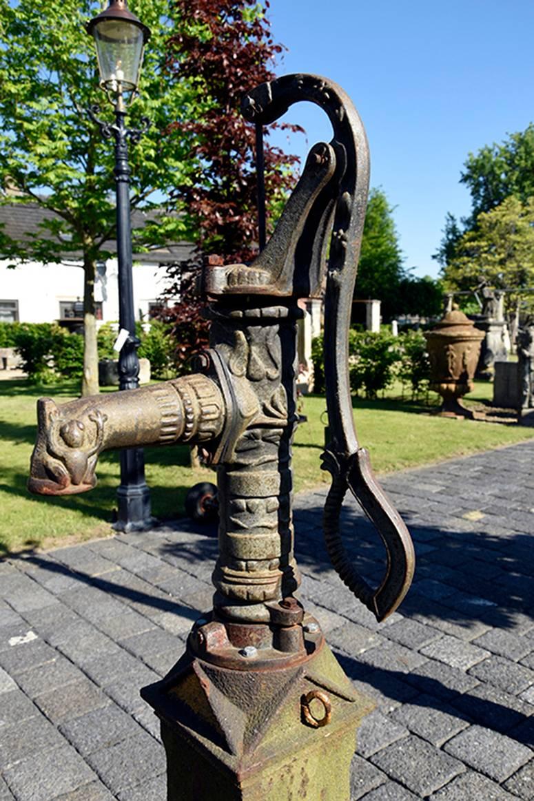 Antique Iron Pump with Sink 19th Century In Fair Condition In Udenhout, NL