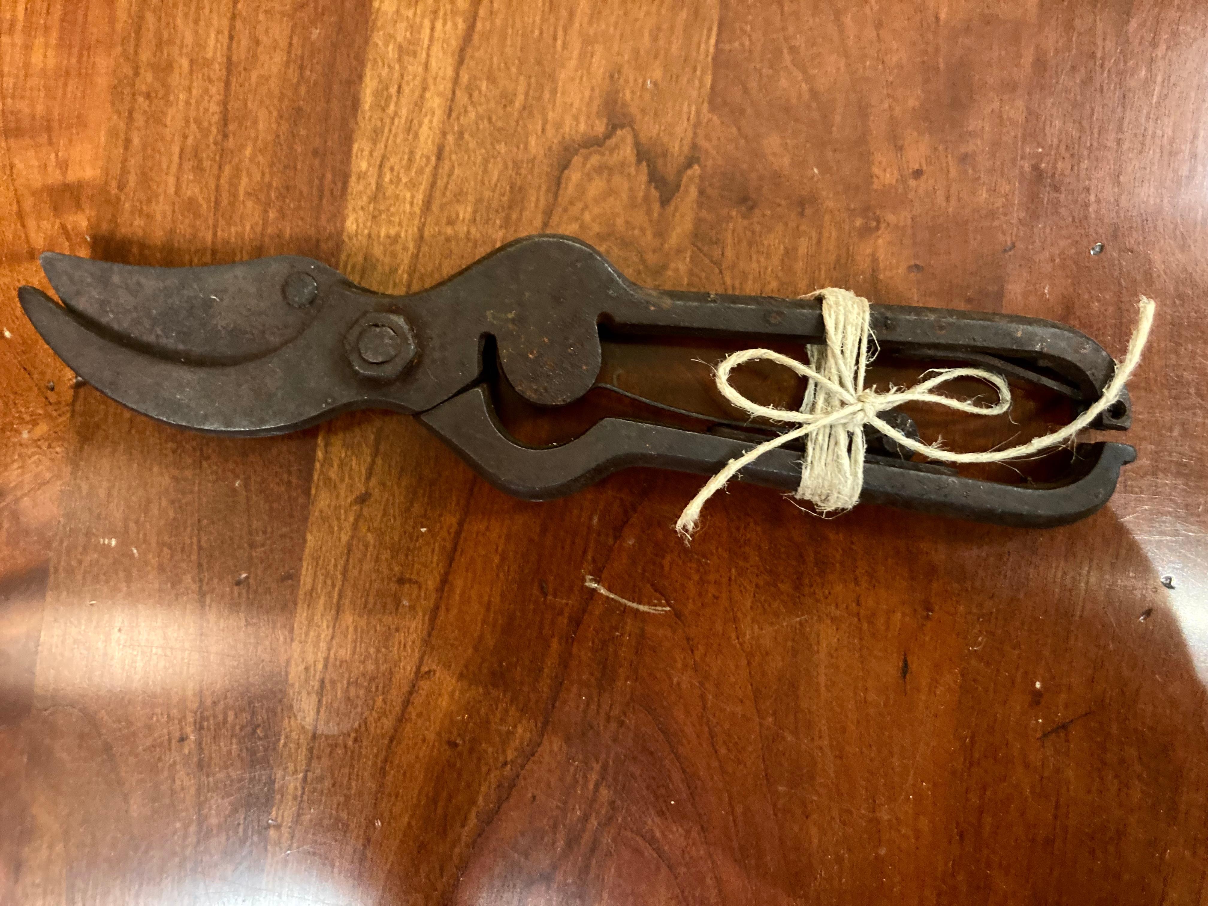 A very well made Industrial Era pair of Iron Flower Garden Secateurs now for decorative use. The Pair are large and were once used for branches as well as flower stalks. Fine to hold with good weight, the Secateurs still have the original coiled