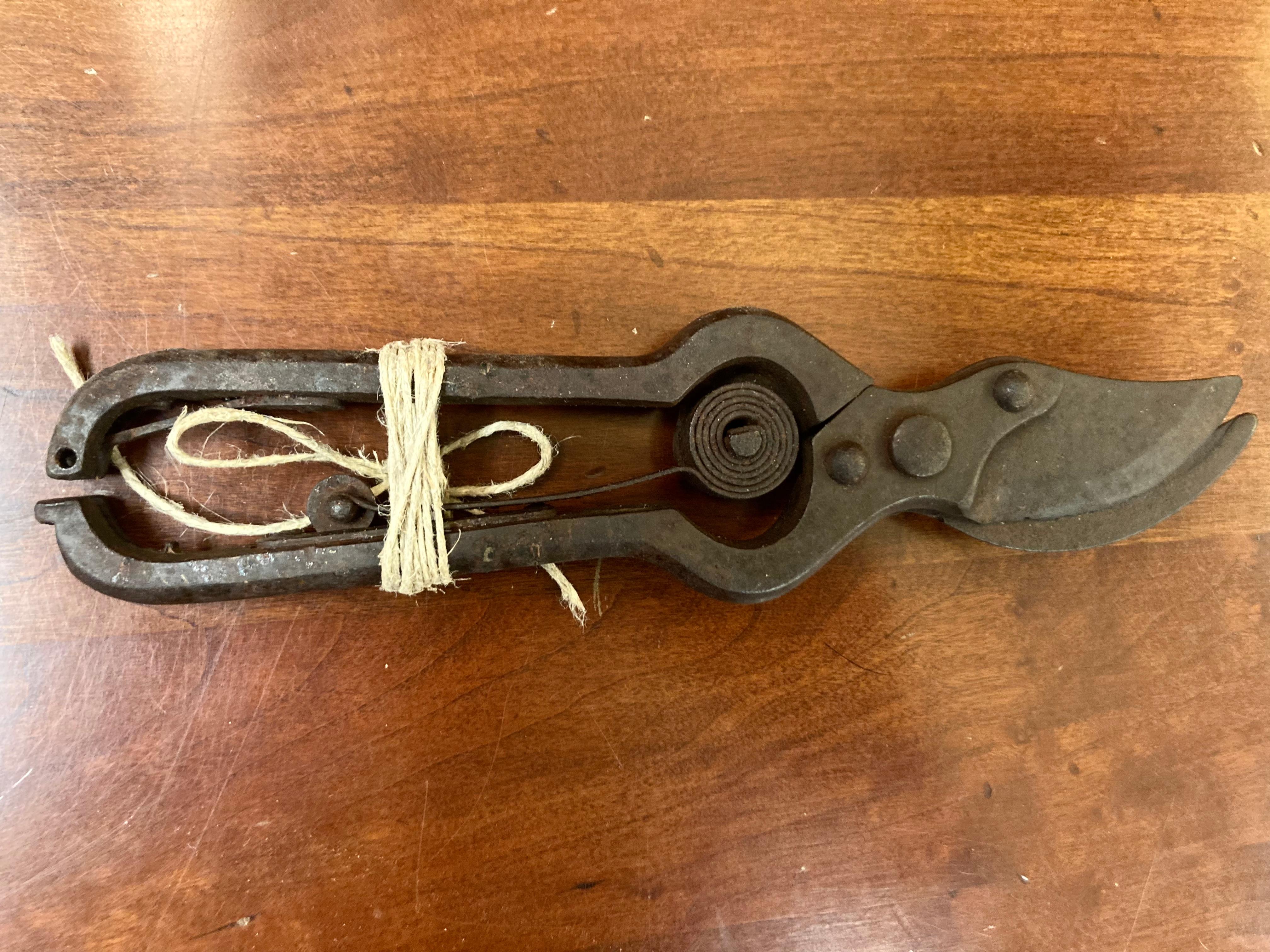 20th Century Antique Iron Spring Action Flower Secateurs For Sale