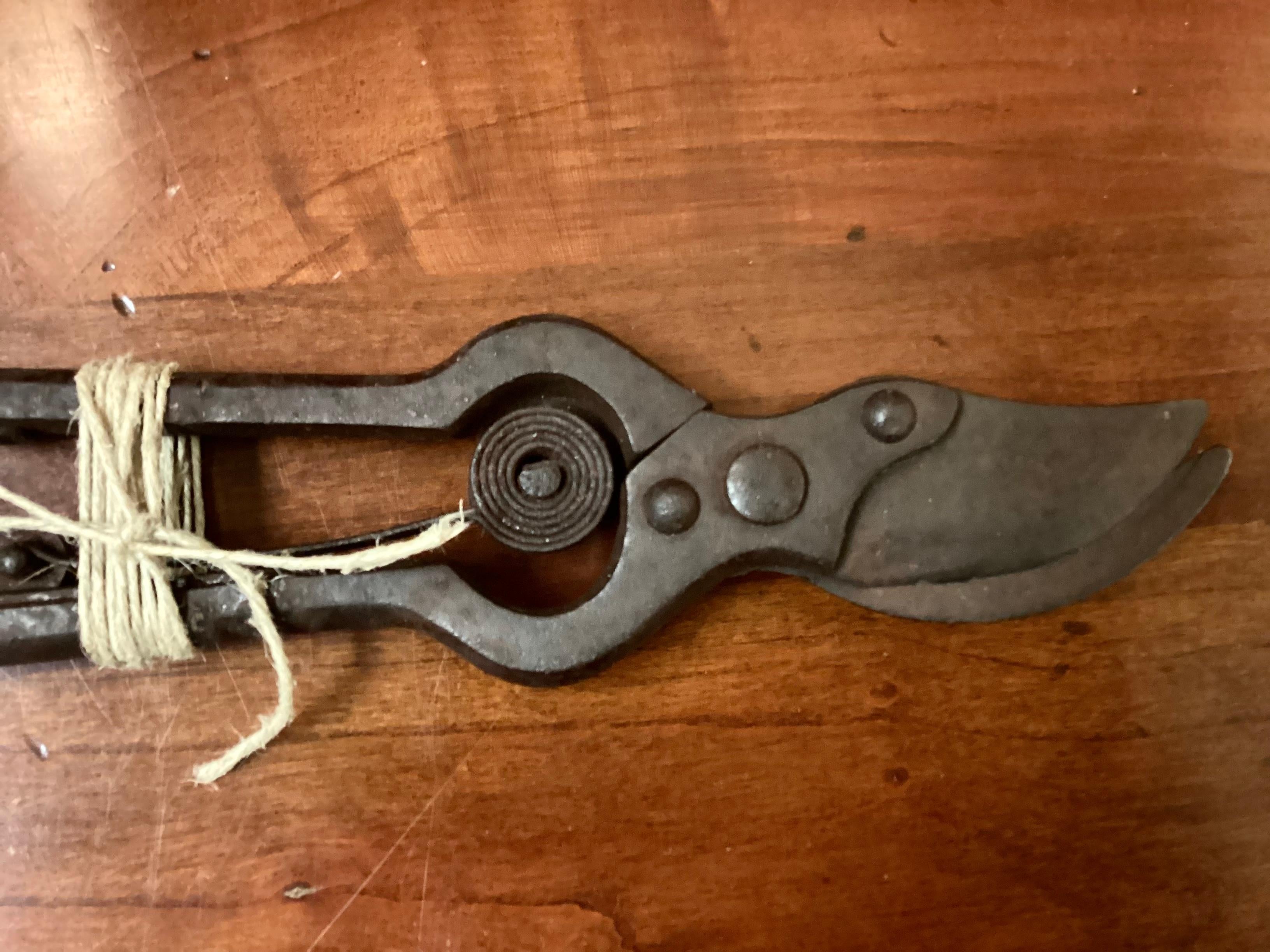 Antique Iron Spring Action Flower Secateurs For Sale 1