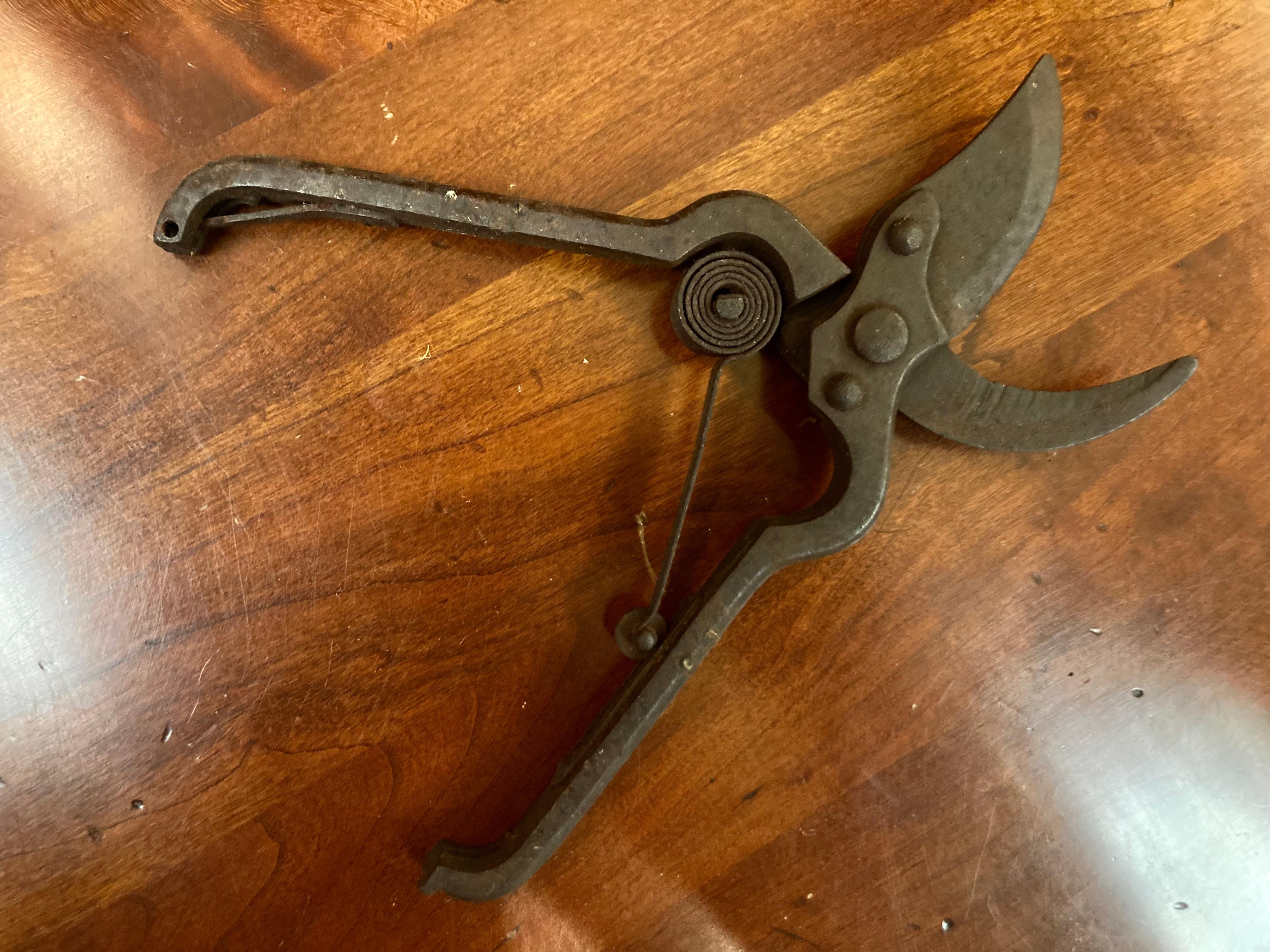 Antique Iron Spring Action Flower Secateurs For Sale 2