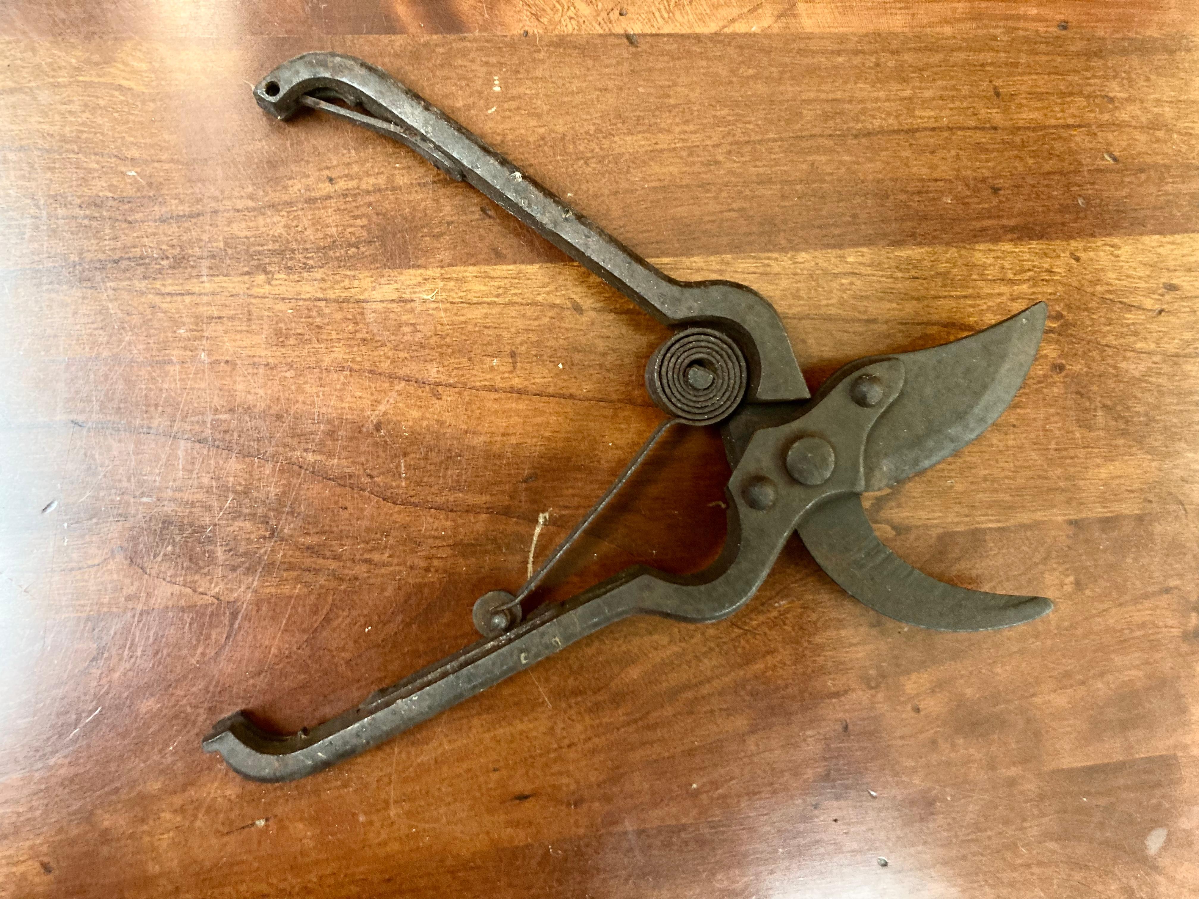 Antique Iron Spring Action Flower Secateurs For Sale 3