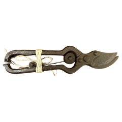 Antique Iron Spring Action Flower Secateurs