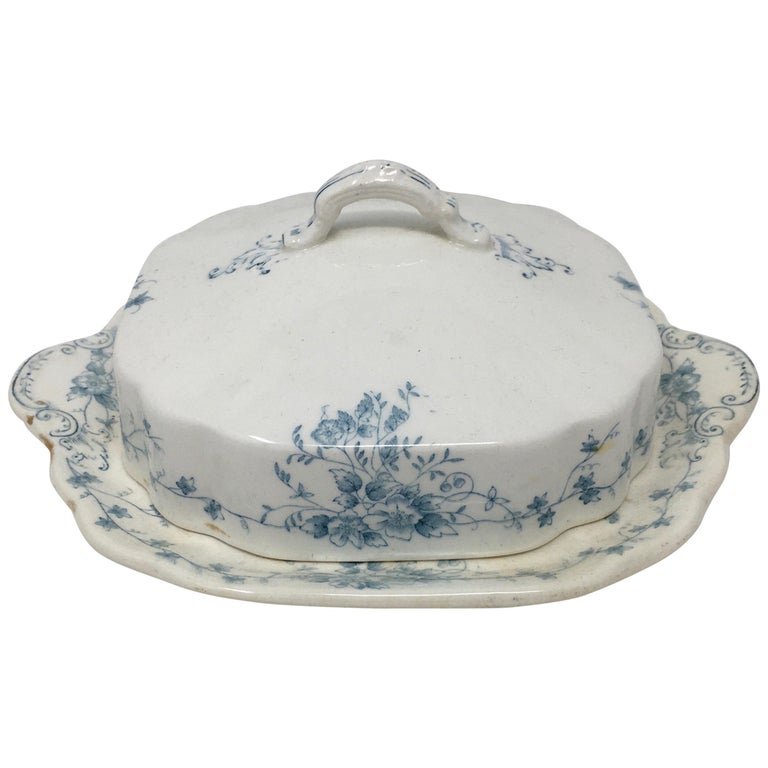 Antique Ironstone English Covered Butter Dish For Sale at 1stDibs