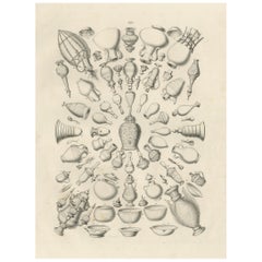 Antique Islamic Vessels and Metalwork Object Study, Maximilian Egypt 1846