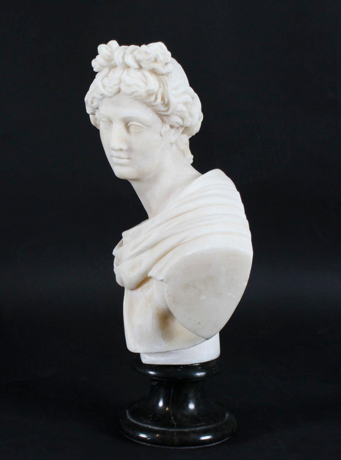 Antique Italian Alabaster Marble Bust of Greek God Apollo Belvedere 19th Century For Sale 6