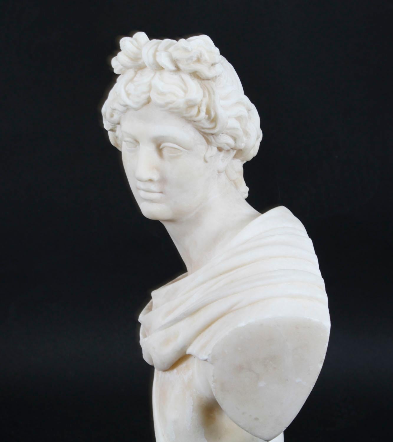Antique Italian Alabaster Marble Bust of Greek God Apollo Belvedere 19th Century For Sale 7