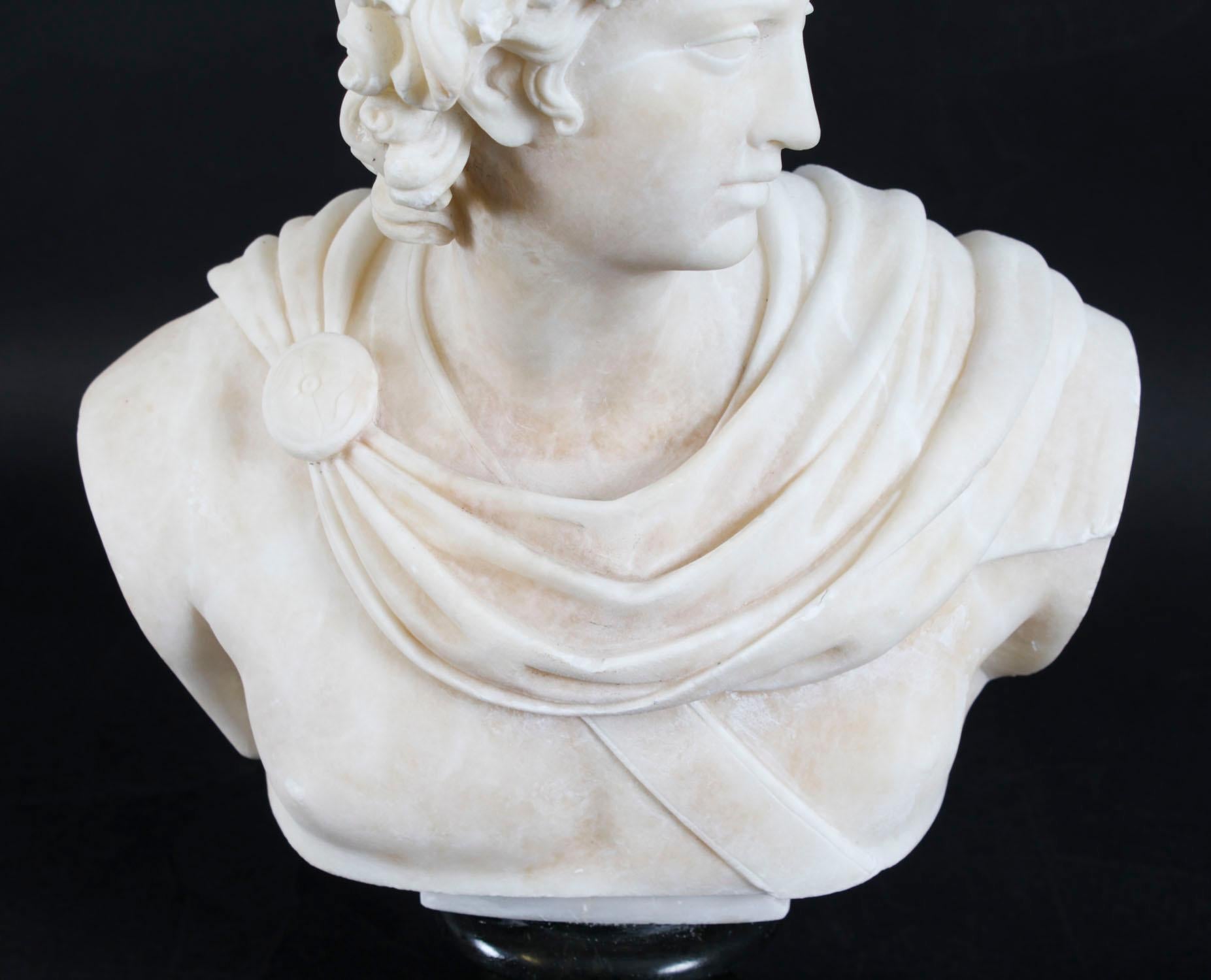 Antique Italian Alabaster Marble Bust of Greek God Apollo Belvedere 19th Century For Sale 10