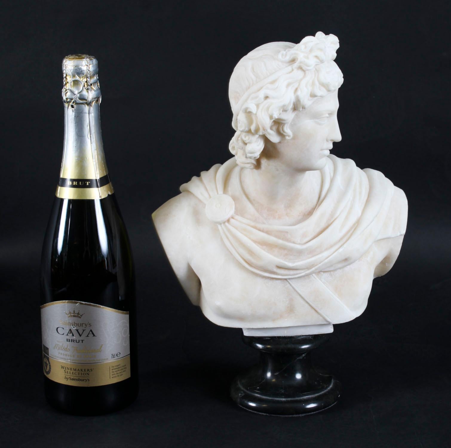 Antique Italian Alabaster Marble Bust of Greek God Apollo Belvedere 19th Century For Sale 11