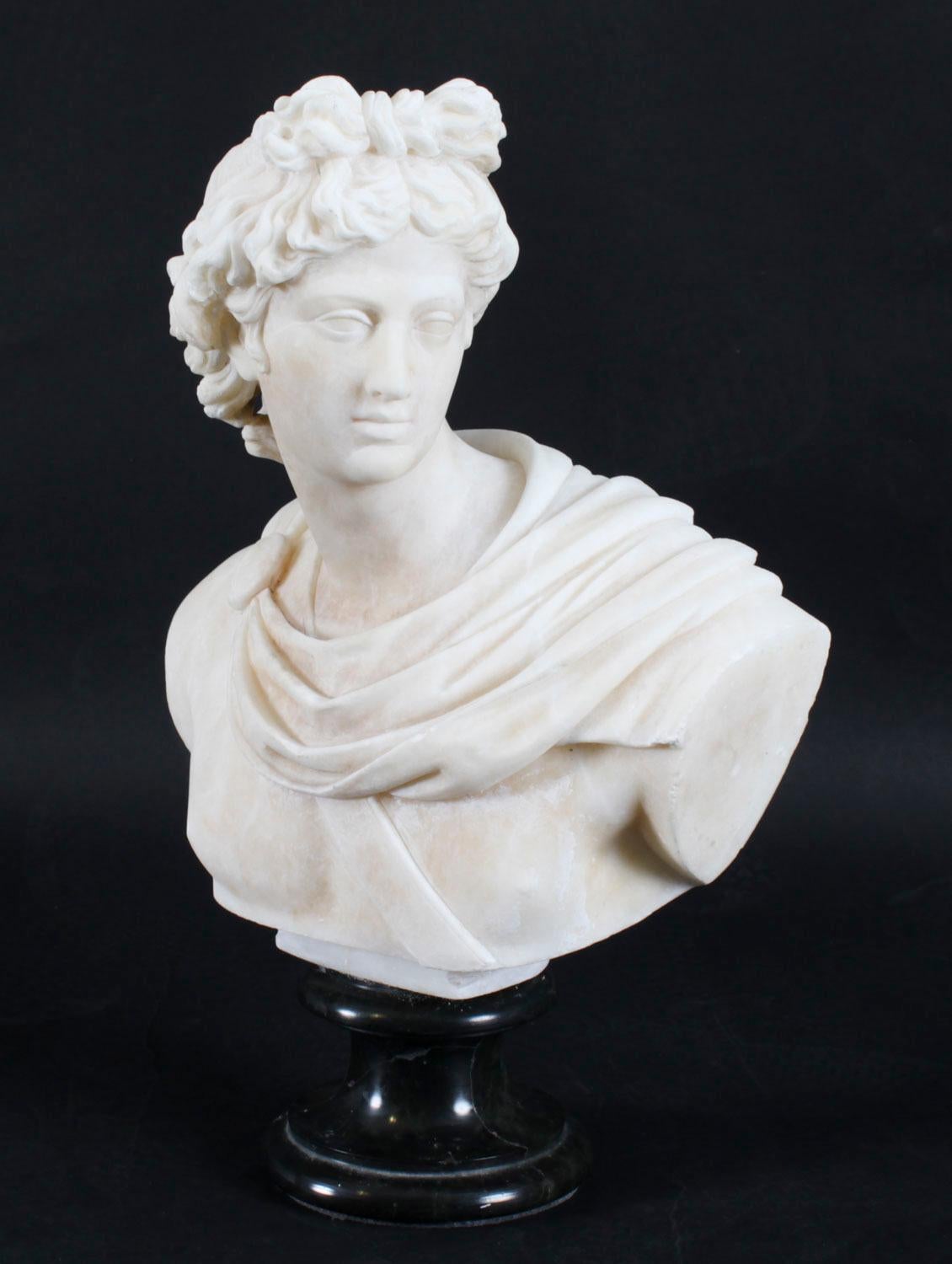 Carved Antique Italian Alabaster Marble Bust of Greek God Apollo Belvedere 19th Century For Sale