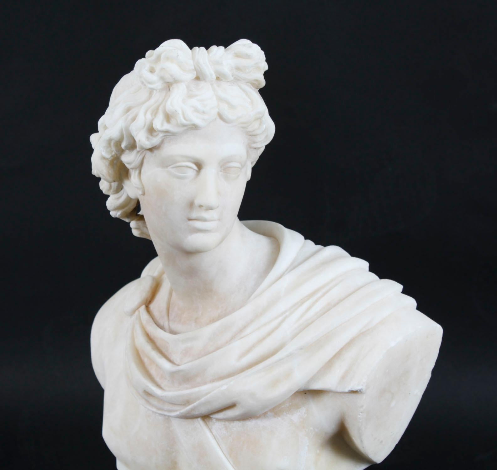 Antique Italian Alabaster Marble Bust of Greek God Apollo Belvedere 19th Century In Good Condition For Sale In London, GB