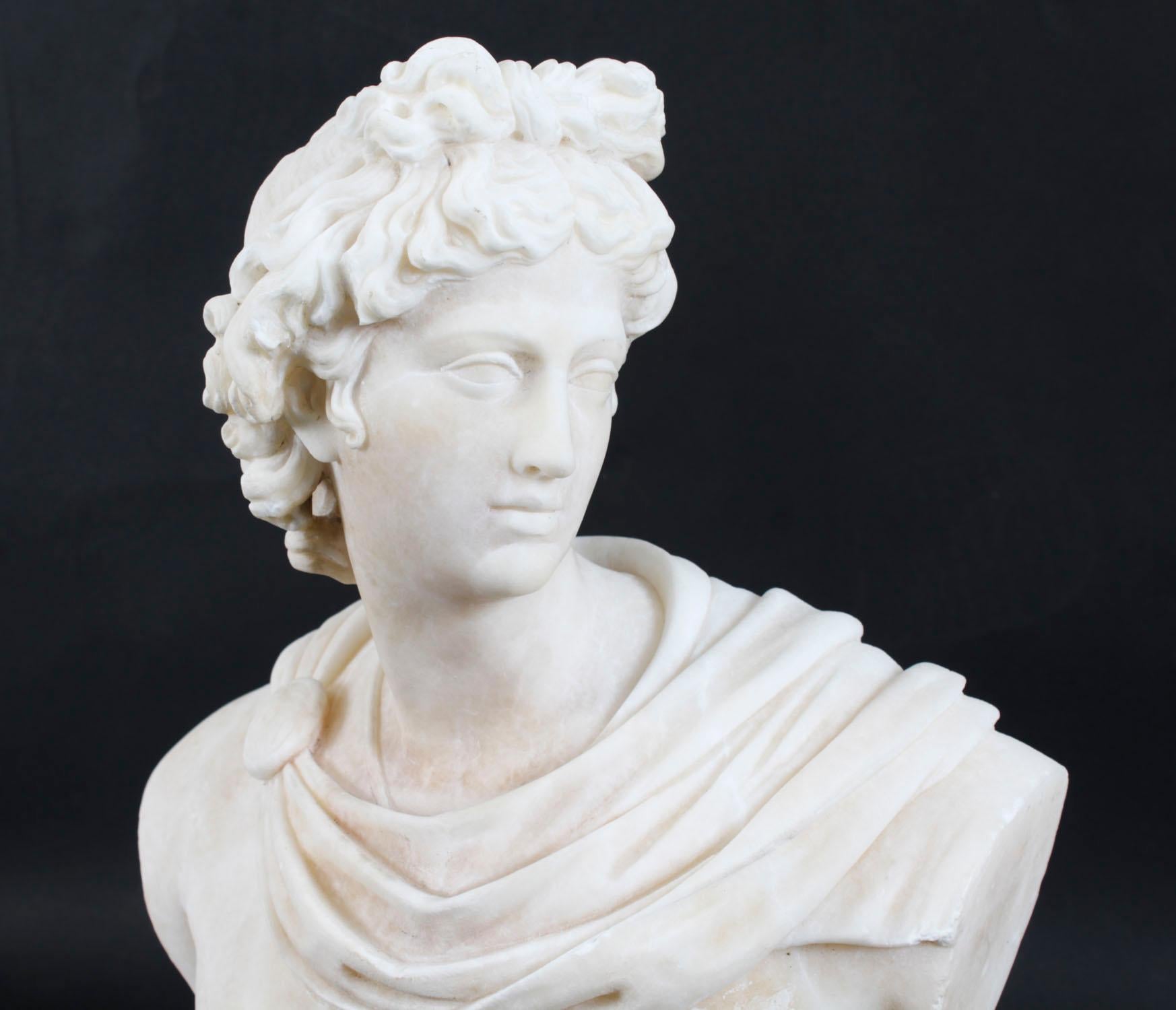 Antique Italian Alabaster Marble Bust of Greek God Apollo Belvedere 19th Century For Sale 1