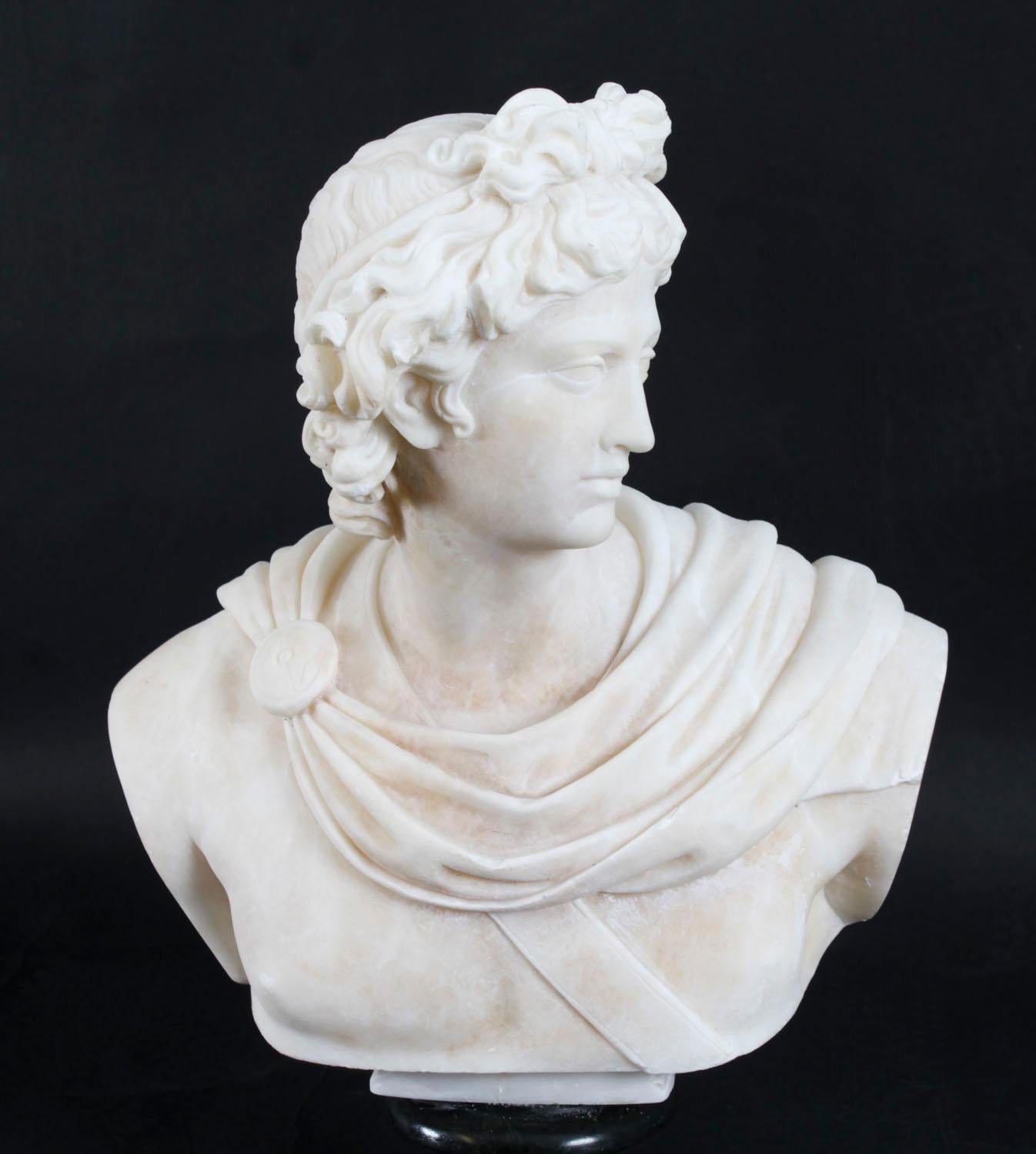 Antique Italian Alabaster Marble Bust of Greek God Apollo Belvedere 19th Century For Sale 2