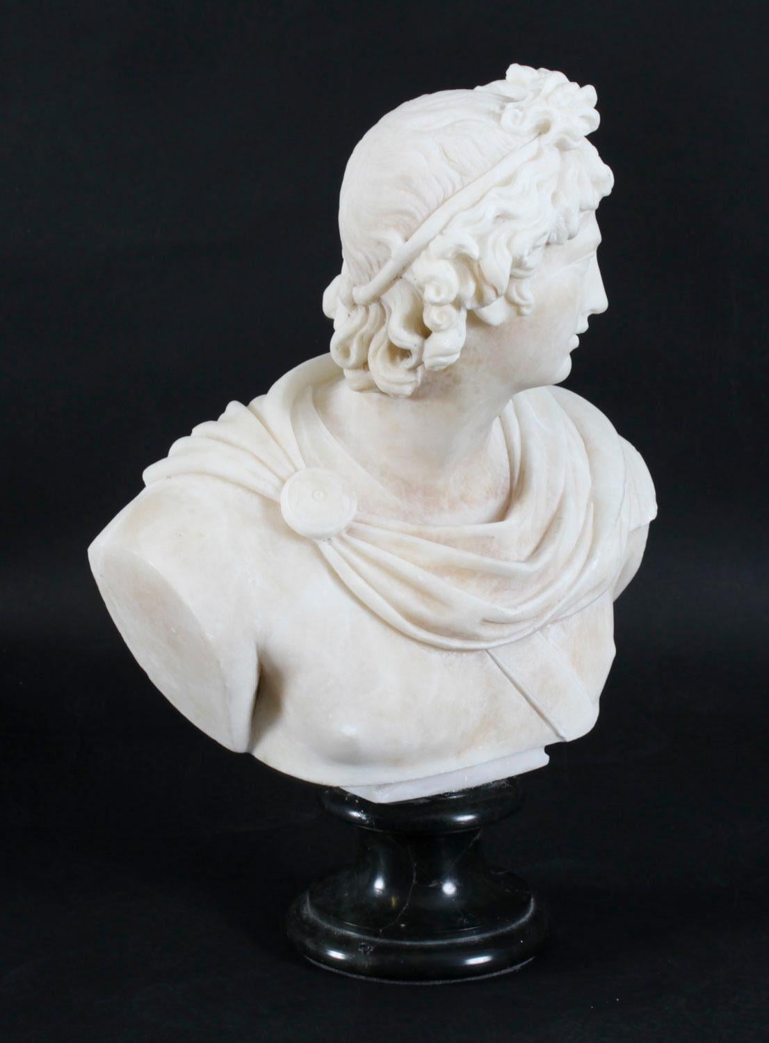 Antique Italian Alabaster Marble Bust of Greek God Apollo Belvedere 19th Century For Sale 3