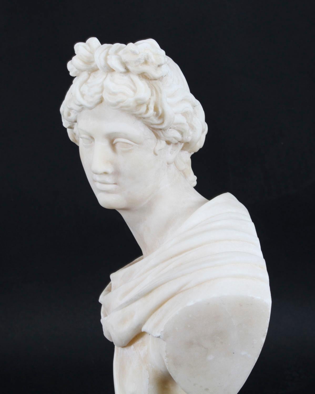 Antique Italian Alabaster Marble Bust of Greek God Apollo Belvedere 19th Century For Sale 5