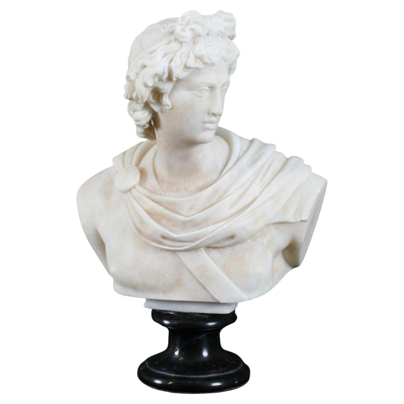 Antique Italian Alabaster Marble Bust of Greek God Apollo Belvedere 19th Century For Sale