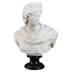 Antike italienische Alabastermarmorbüste des griechischen Gottes Apollo Belvedere aus dem 19. Jahrhundert